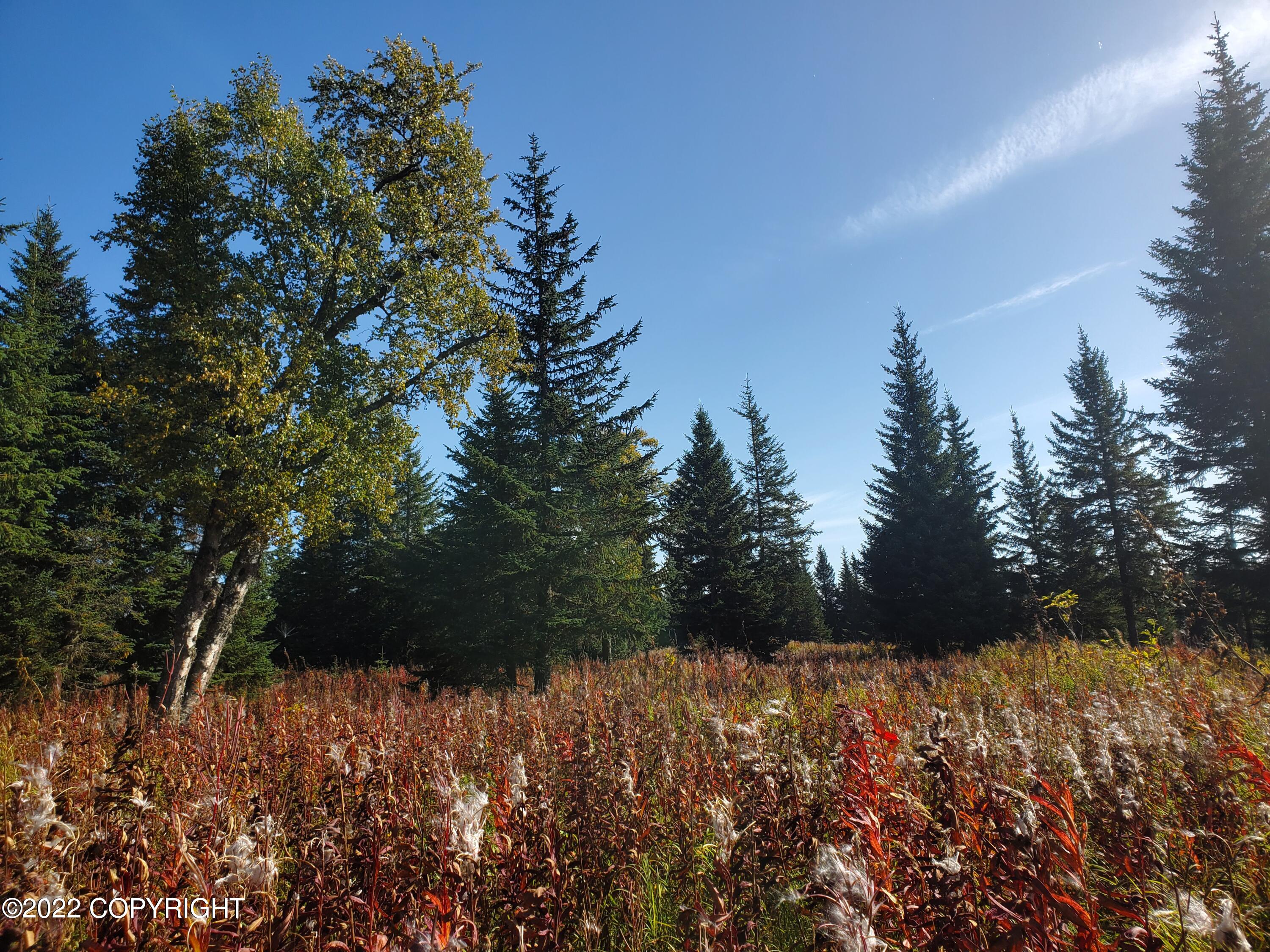 67756 Shavila Road Property Photo 1