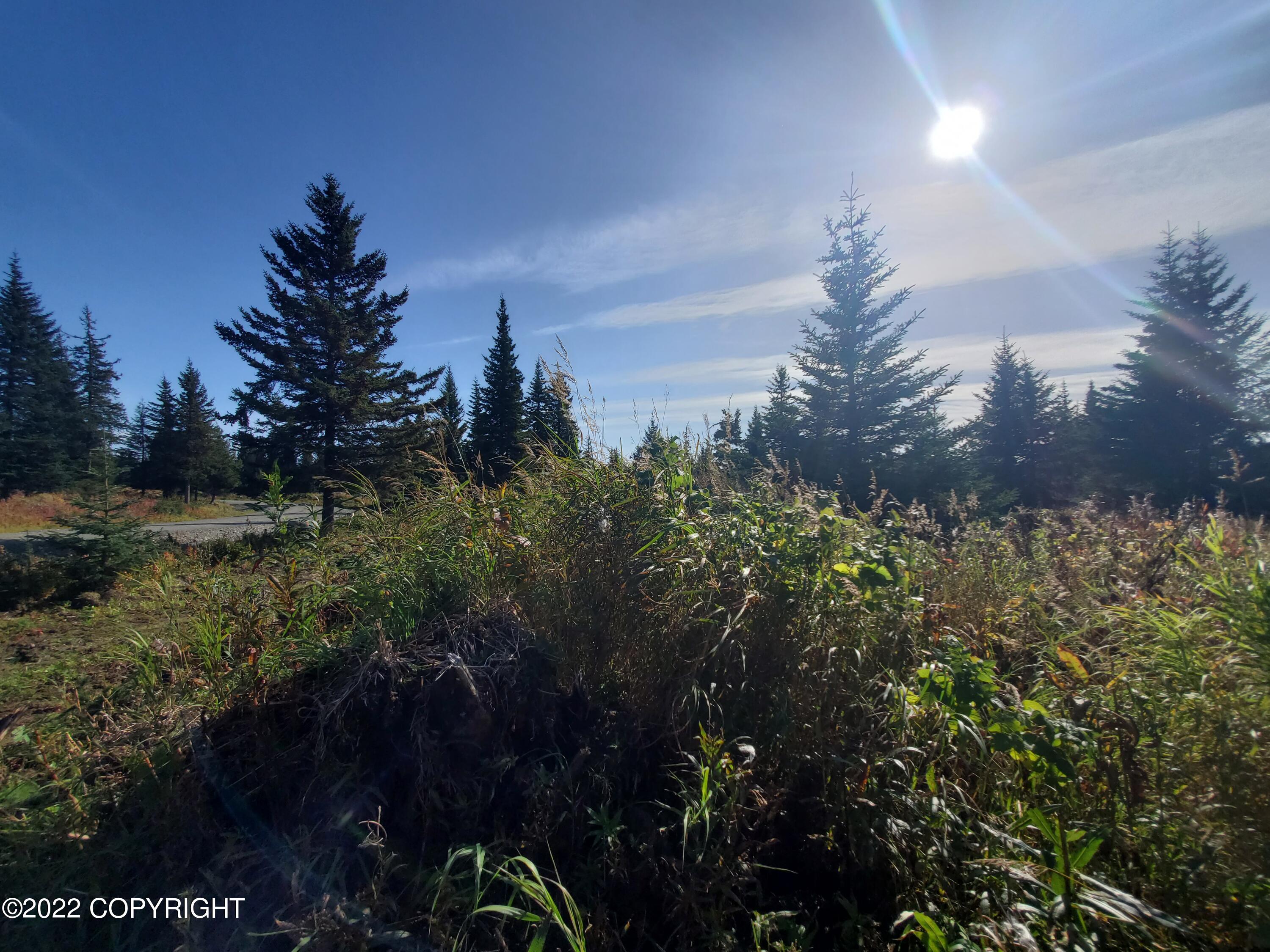 67761 Shavila Road Property Photo 2