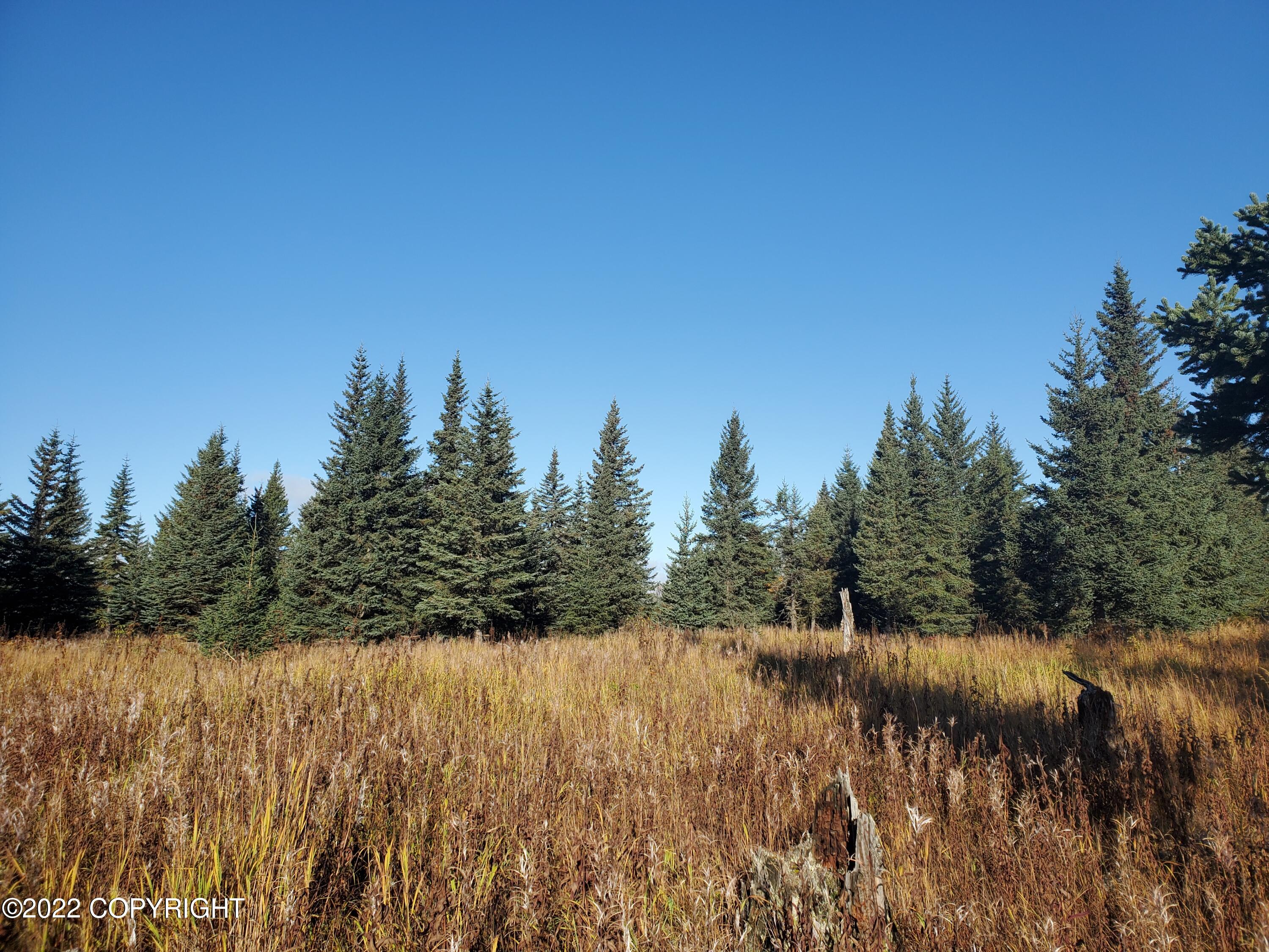 67658 Shavila Road Property Photo 4