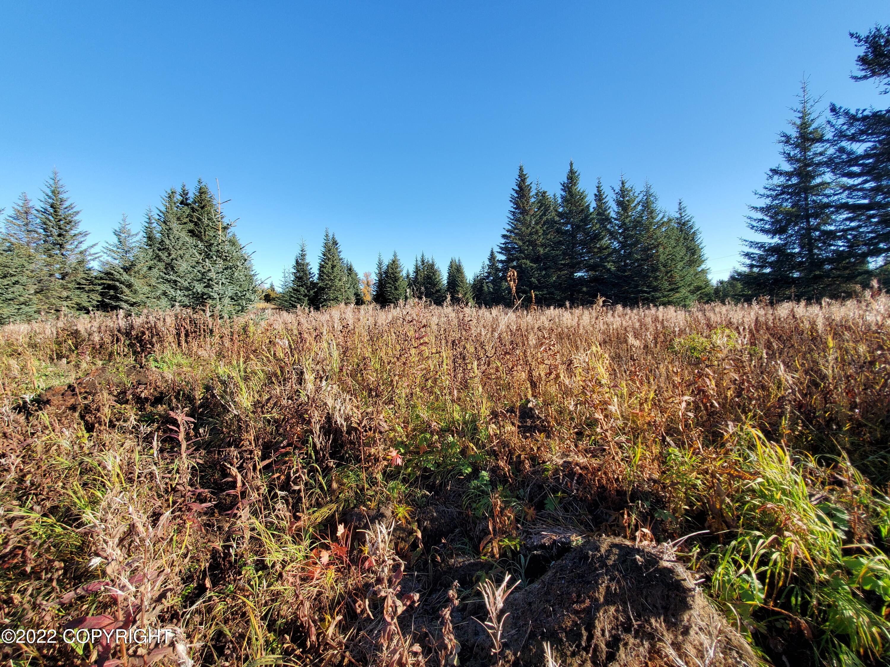 67618 Shavila Road Property Photo 1