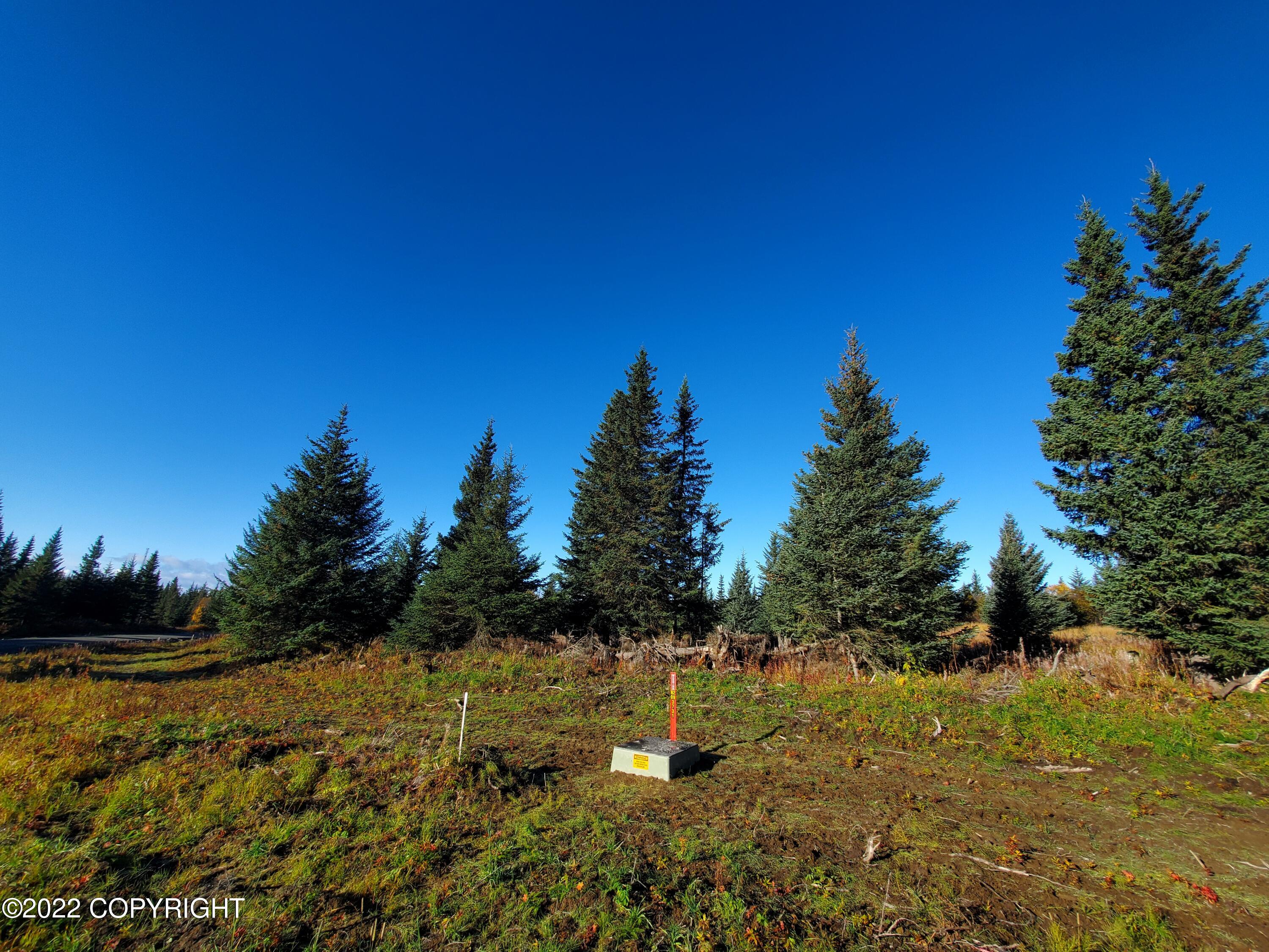 67618 Shavila Road Property Photo 4