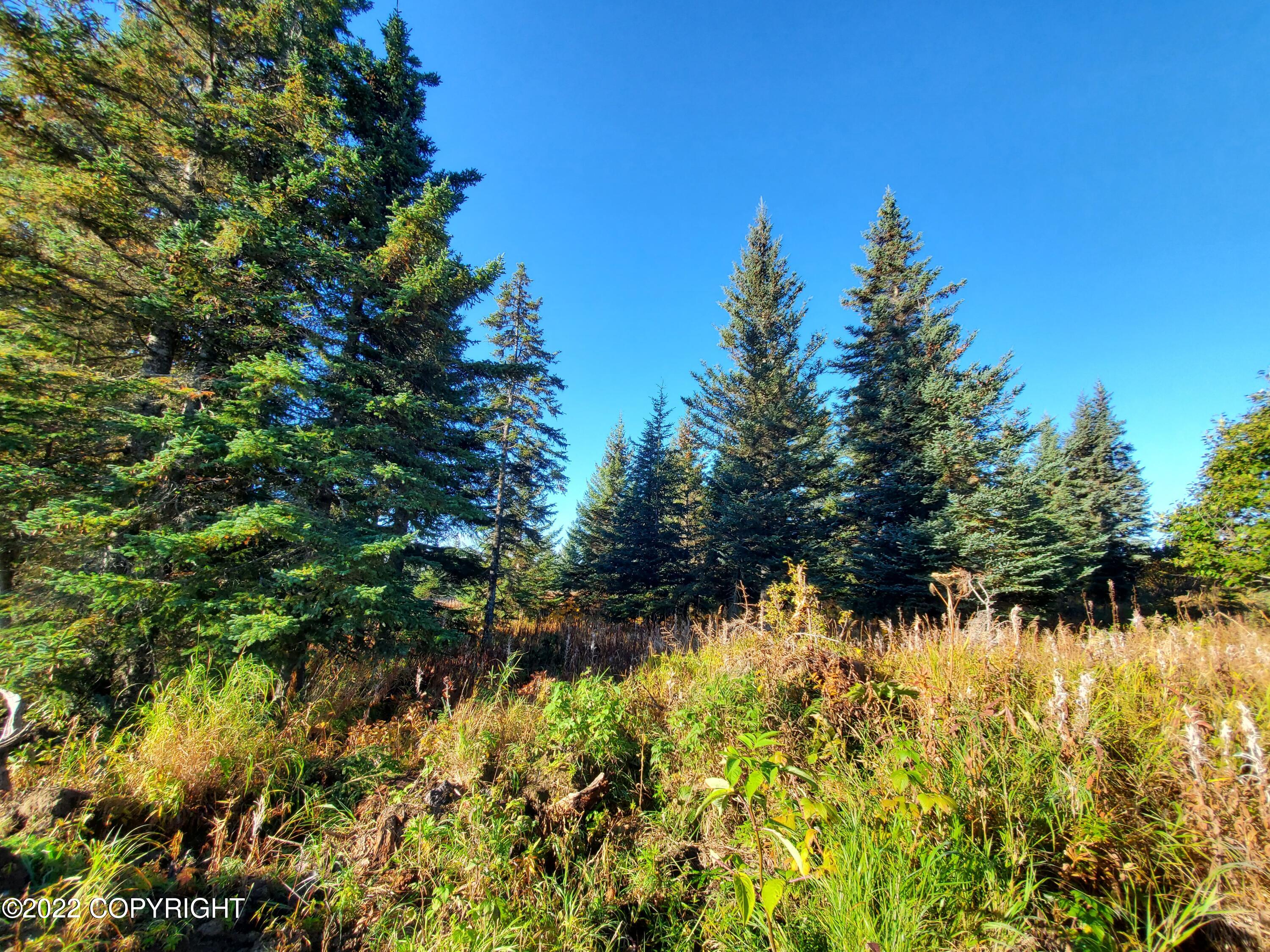 67572 Shavila Road Property Photo 2