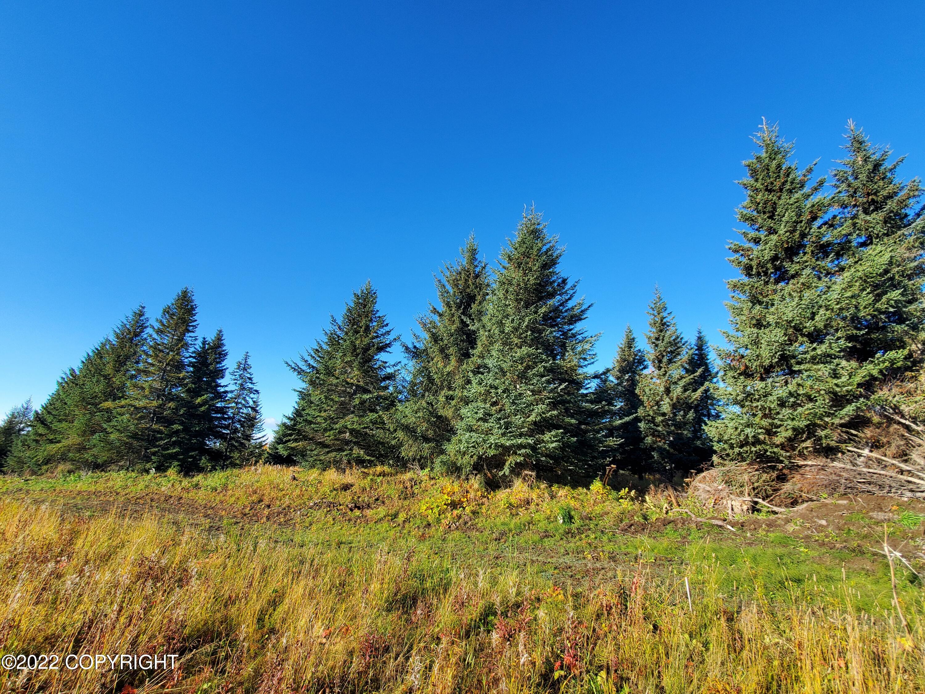 67572 Shavila Road Property Photo 3