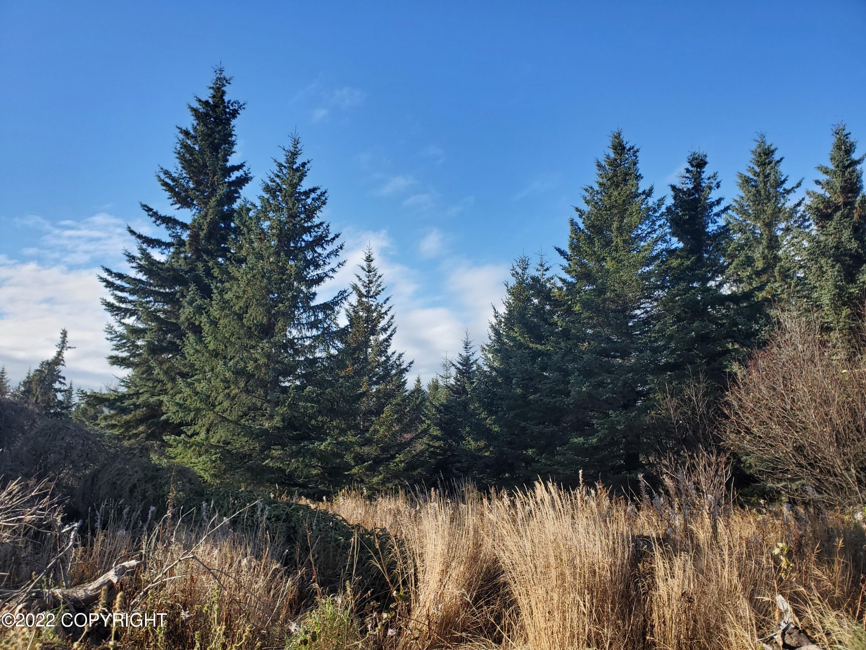 17309 Kimeluk Street Property Photo 1