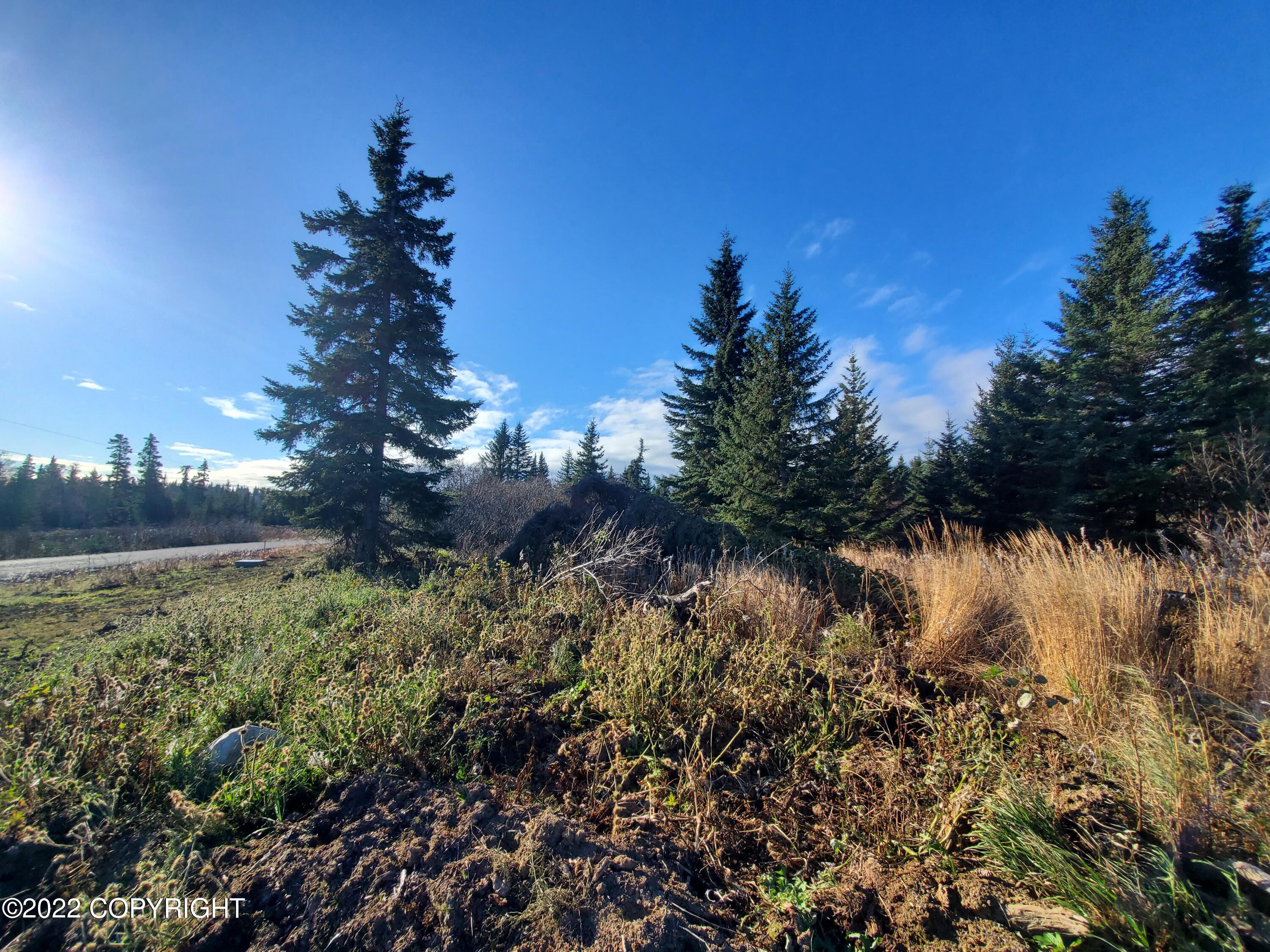 17309 Kimeluk Street Property Photo 2