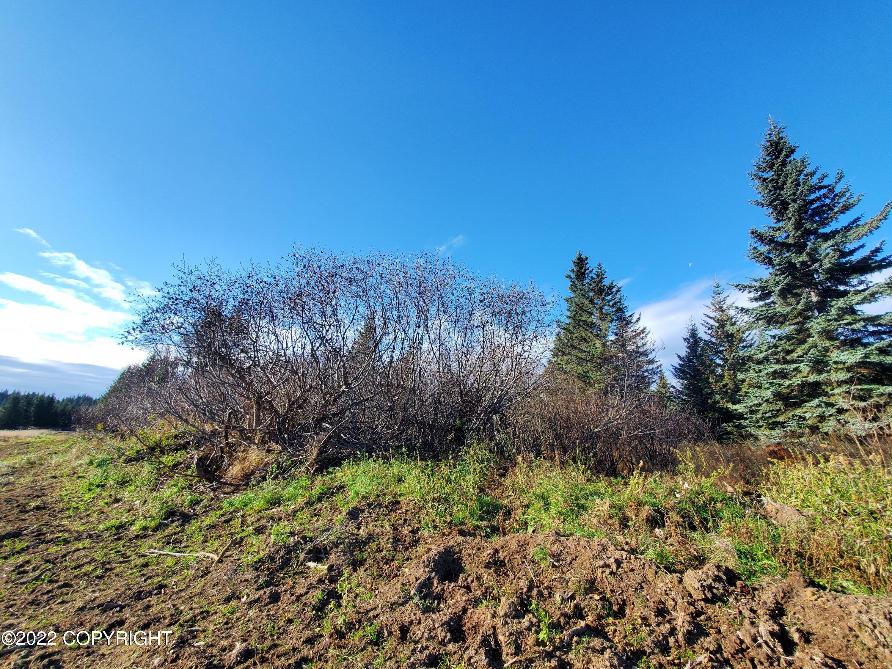 17309 Kimeluk Street Property Photo 4