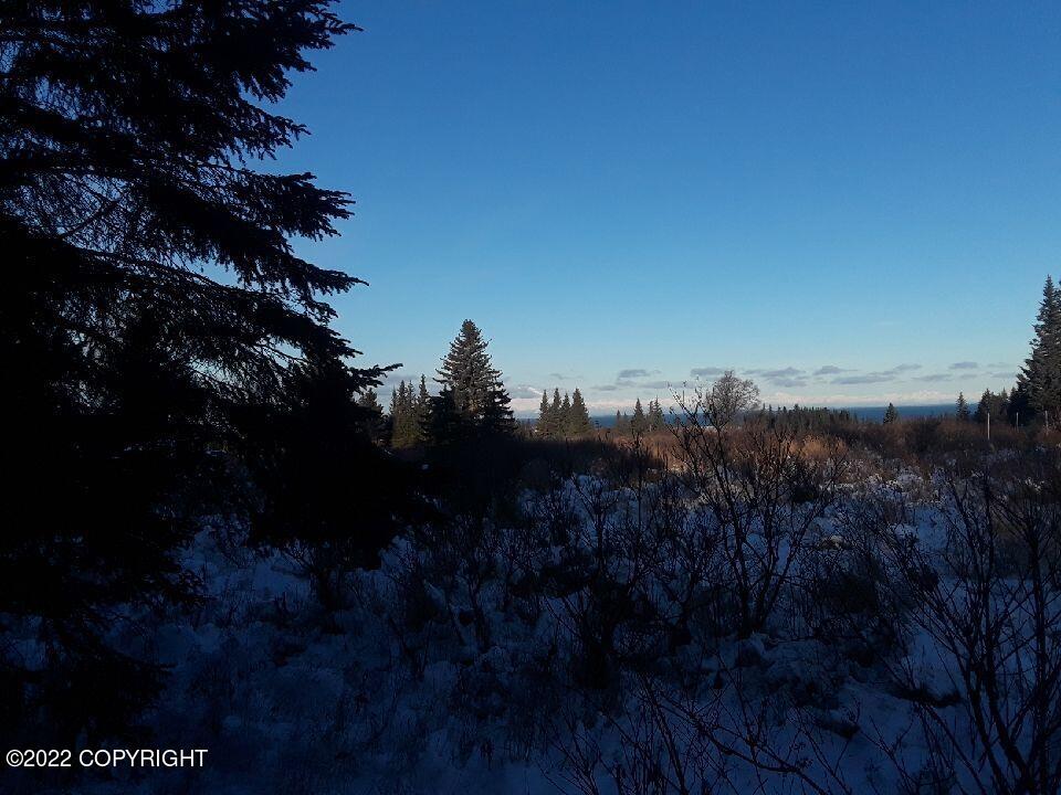 17285 Kimeluk Street Property Photo 1