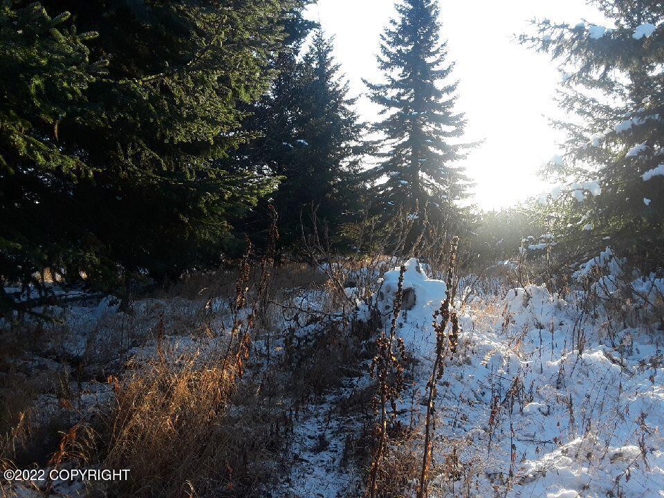 17285 Kimeluk Street Property Photo 2