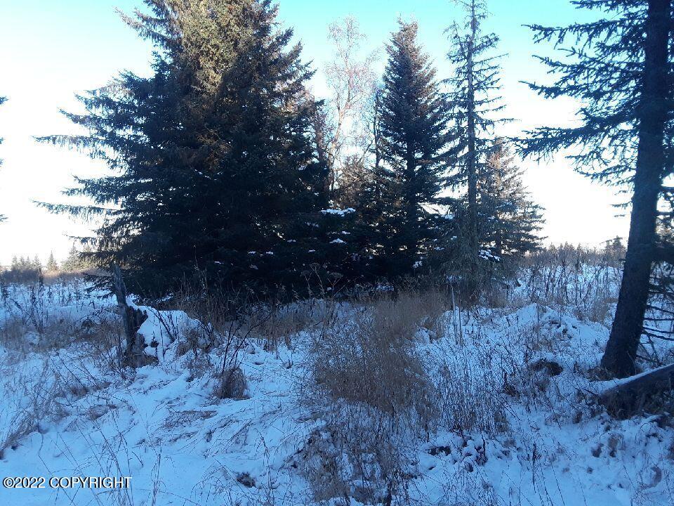 17285 Kimeluk Street Property Photo 3