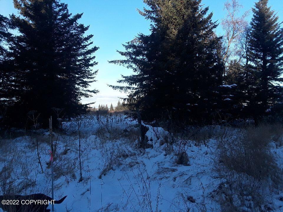 17285 Kimeluk Street Property Photo 4