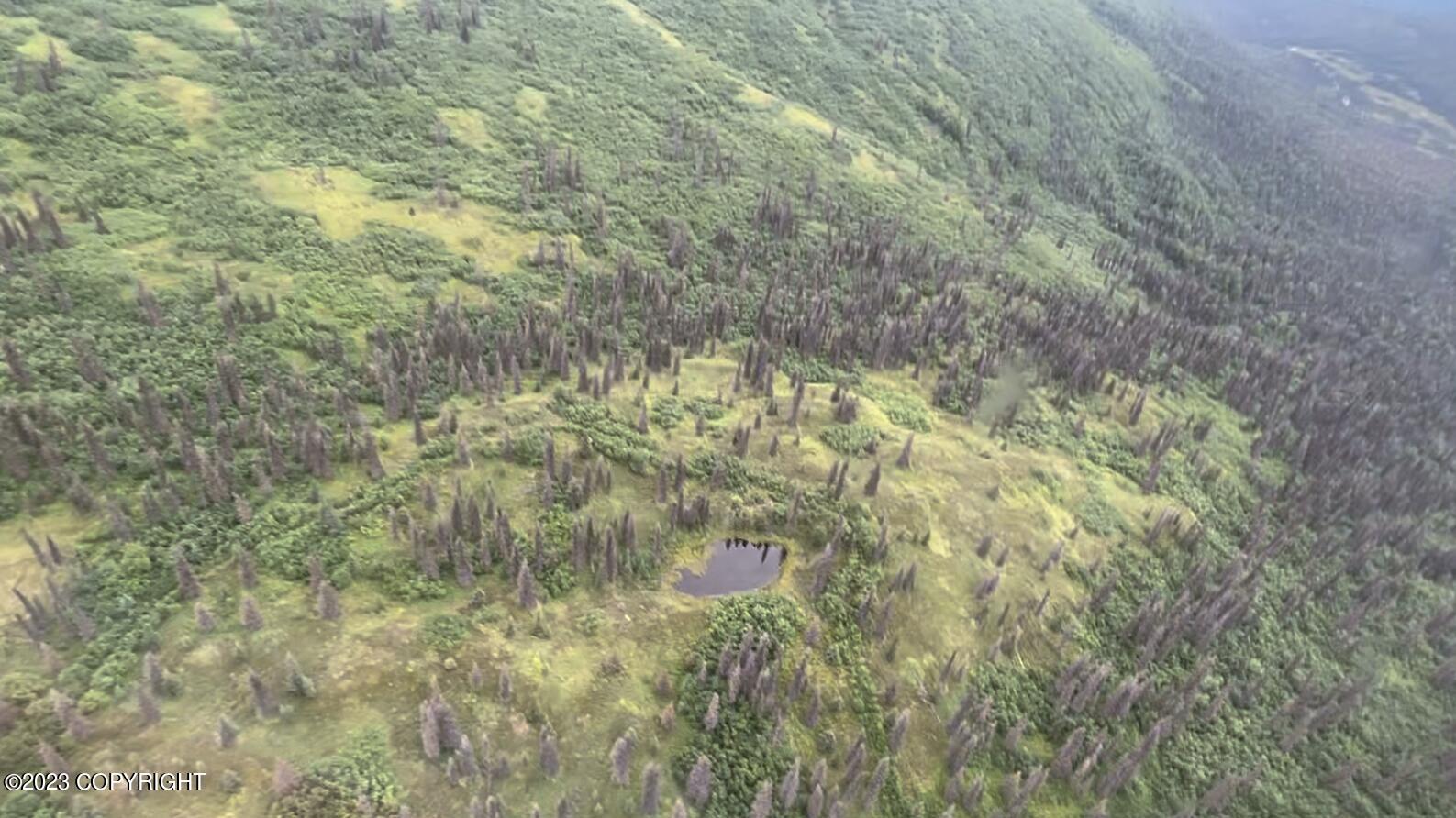 000 Mcwilliams - Gold Creek Trail Property Photo 11