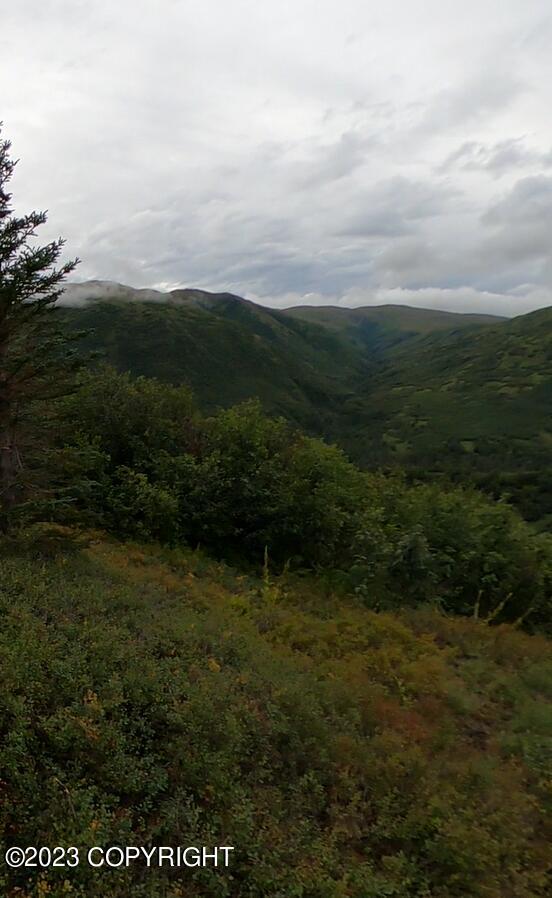 000 Mcwilliams - Gold Creek Trail Property Photo 13
