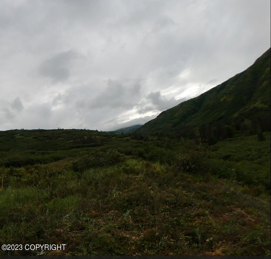 000 Mcwilliams - Gold Creek Trail Property Photo 14