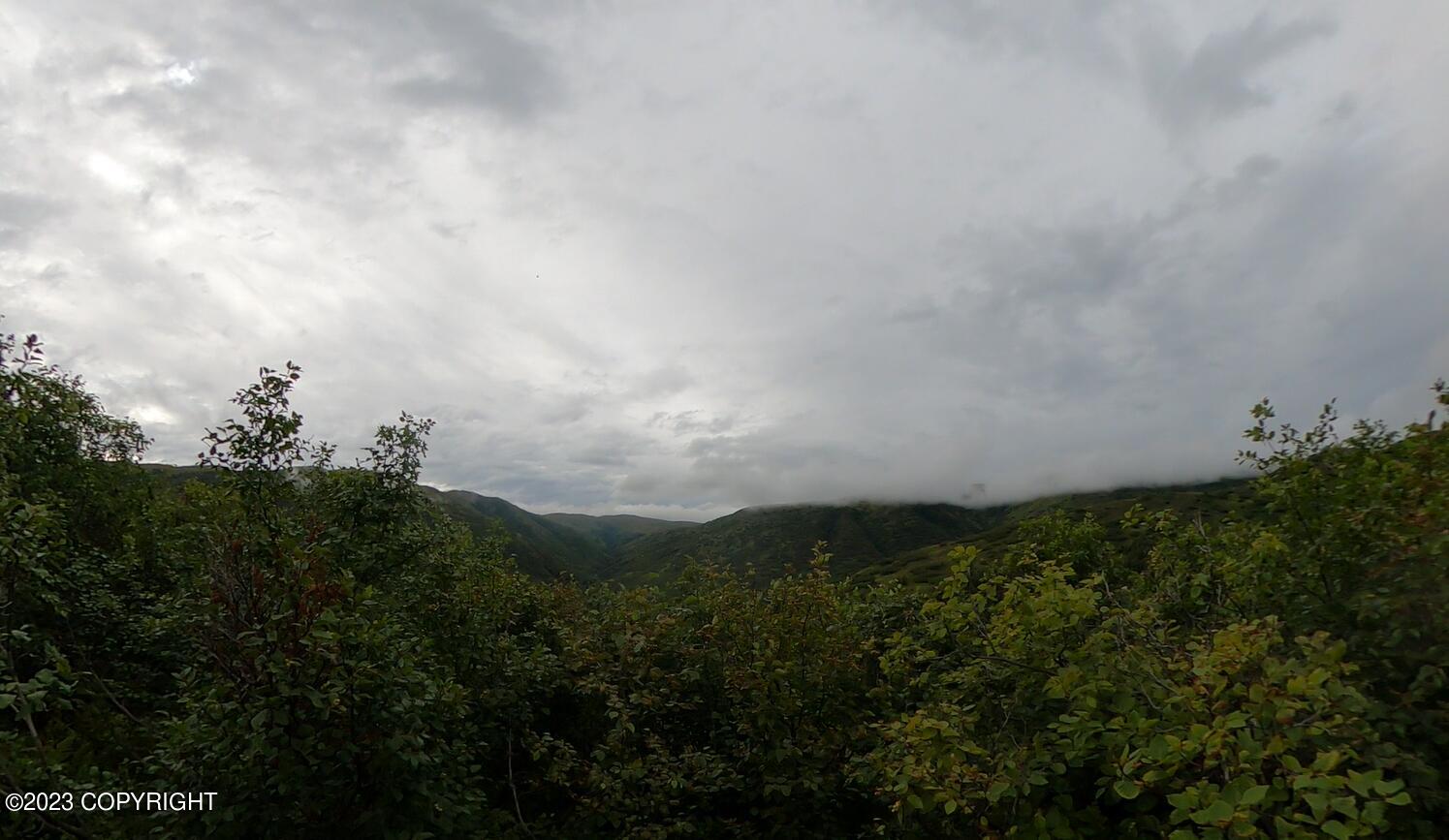 000 Mcwilliams - Gold Creek Trail Property Photo 15