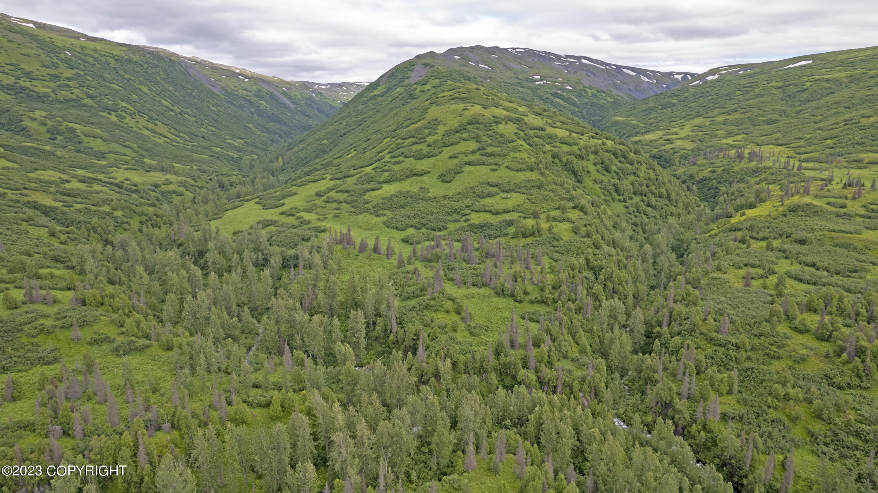 000 Mcwilliams - Gold Creek Trail Property Photo 61