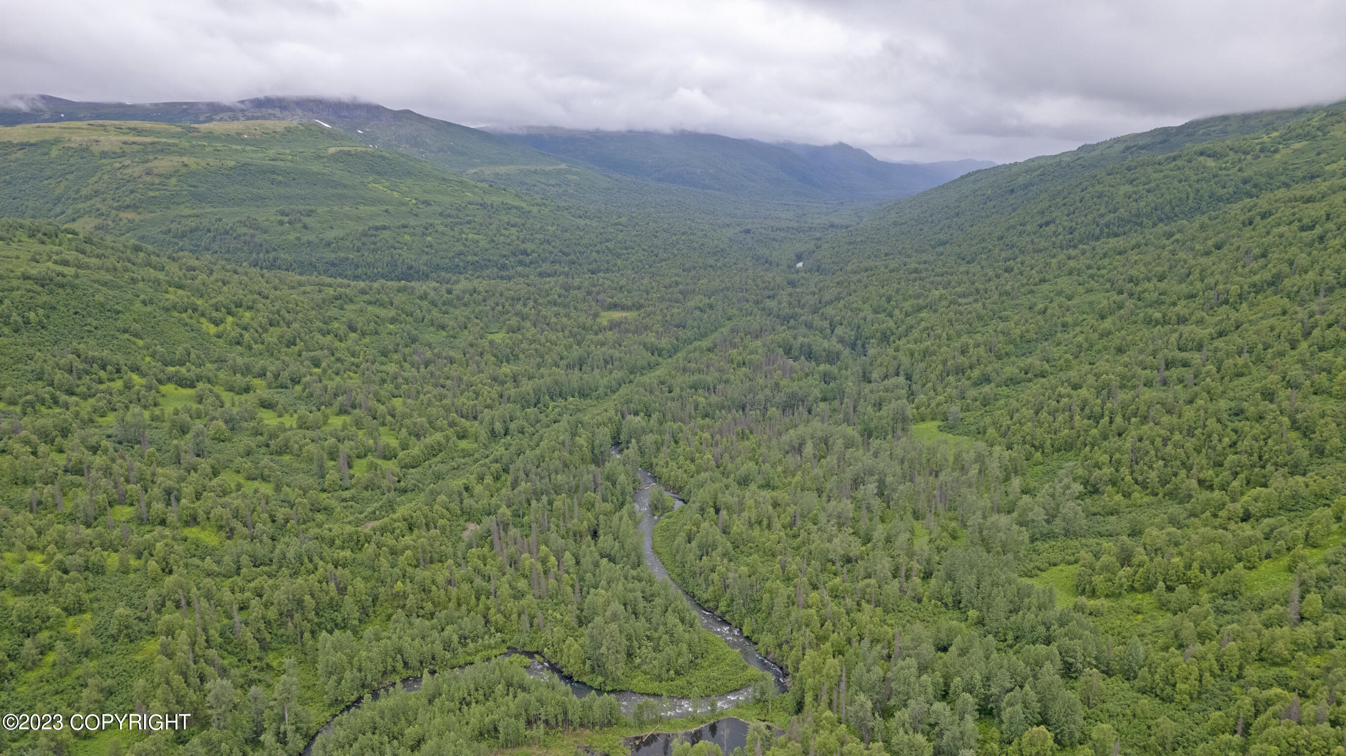 000 Mcwilliams - Gold Creek Trail Property Photo 83