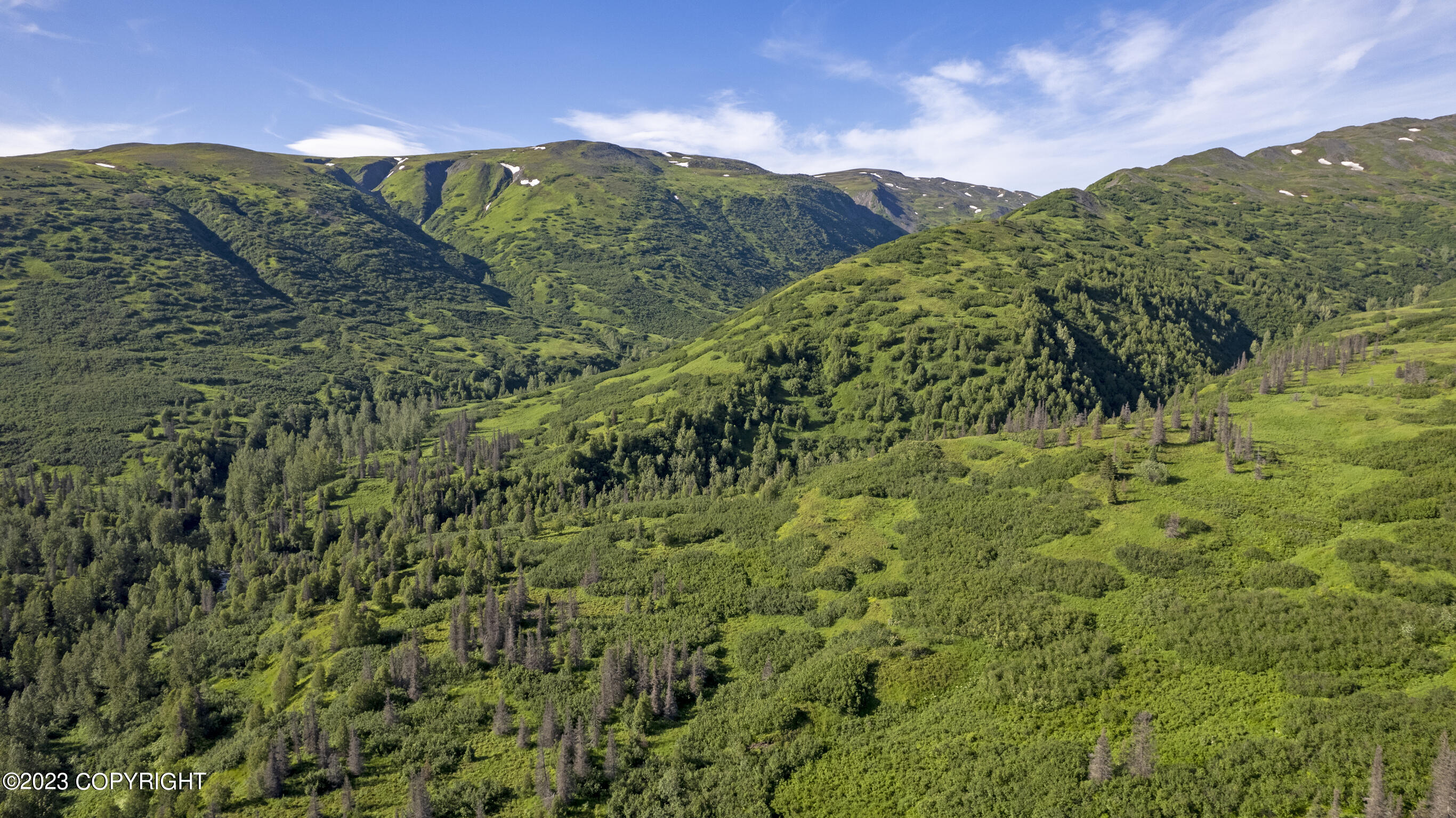 000 Mcwilliams - Gold Creek Trail Property Photo 87