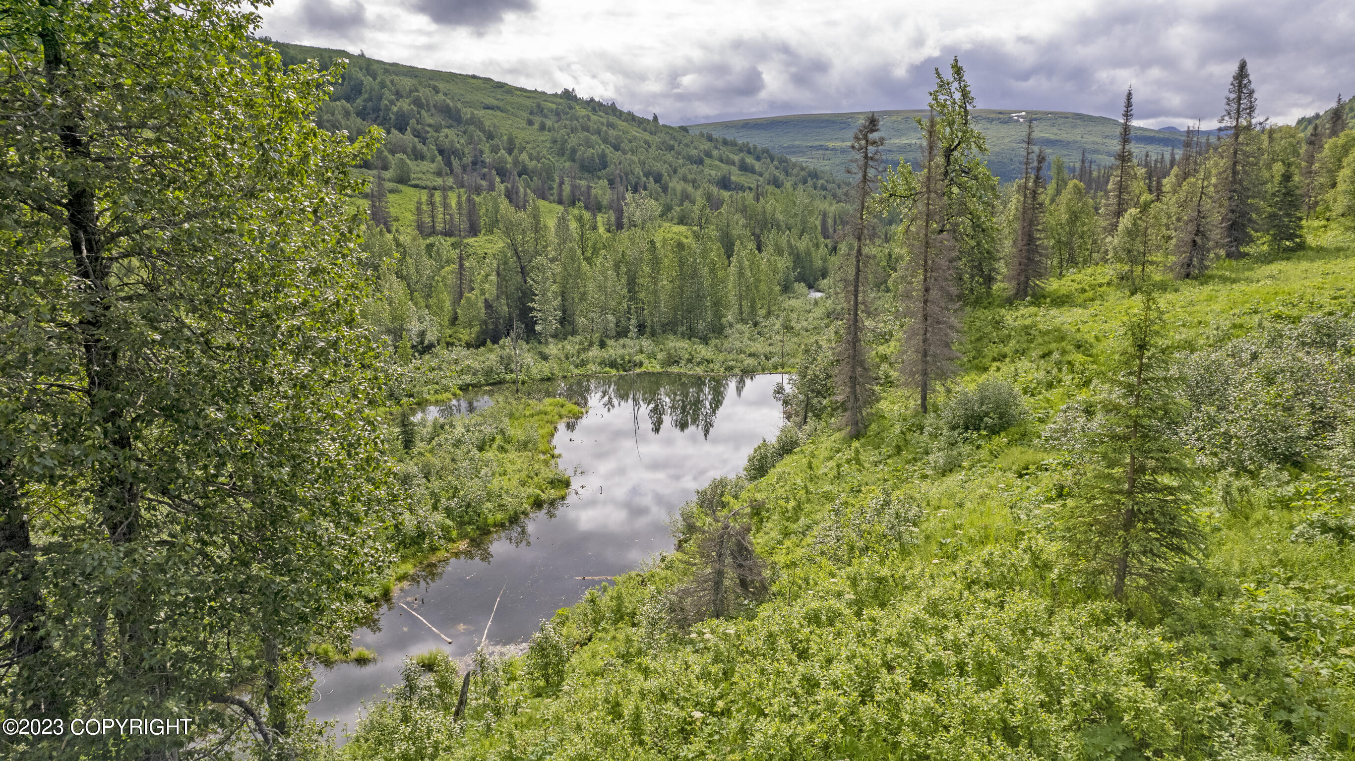 000 Mcwilliams - Gold Creek Trail Property Photo 90