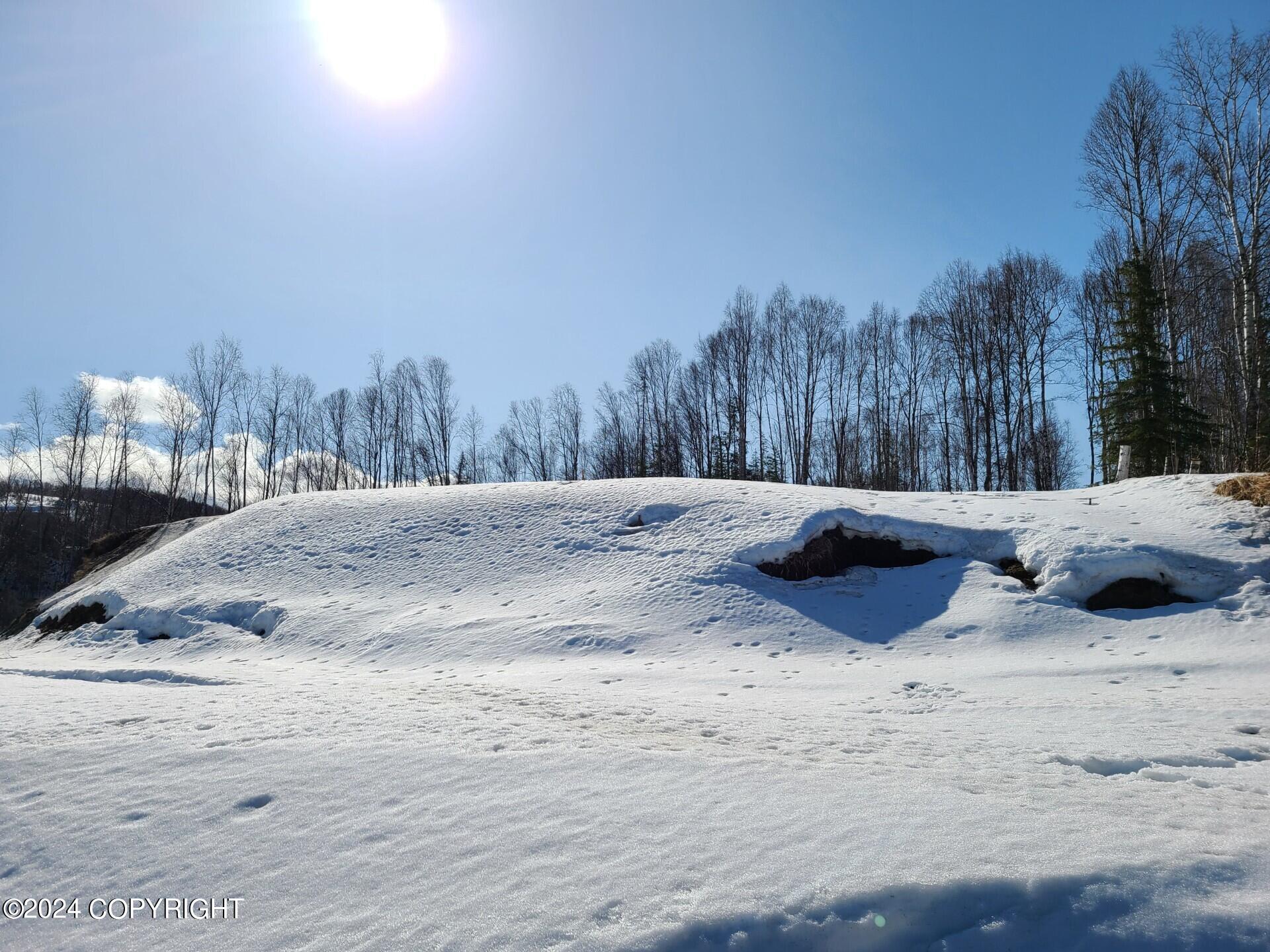16613 N Woodward Circle Property Photo 45
