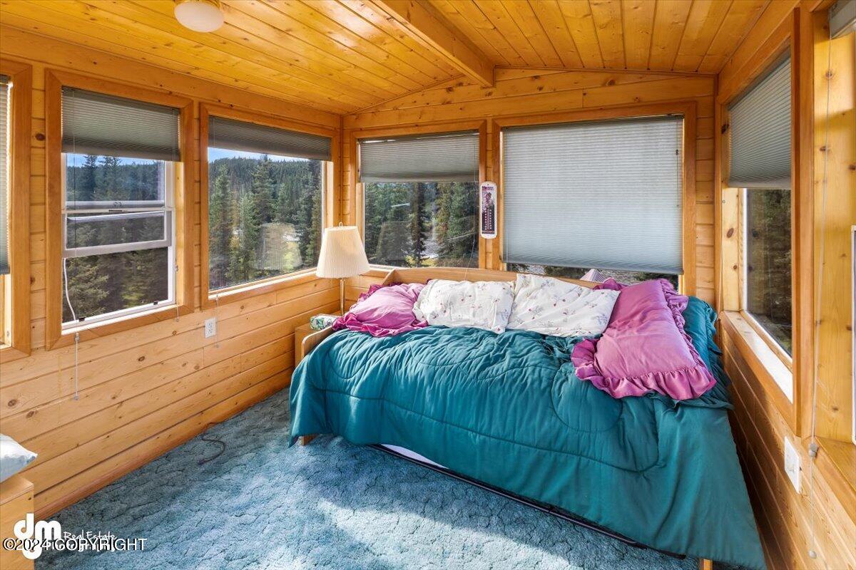L8/9 Gulkana River Property Photo 20
