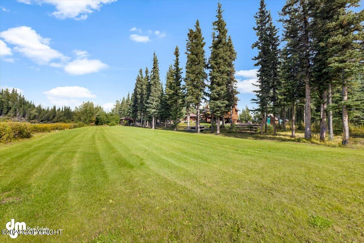 L8/9 Gulkana River Property Photo 35