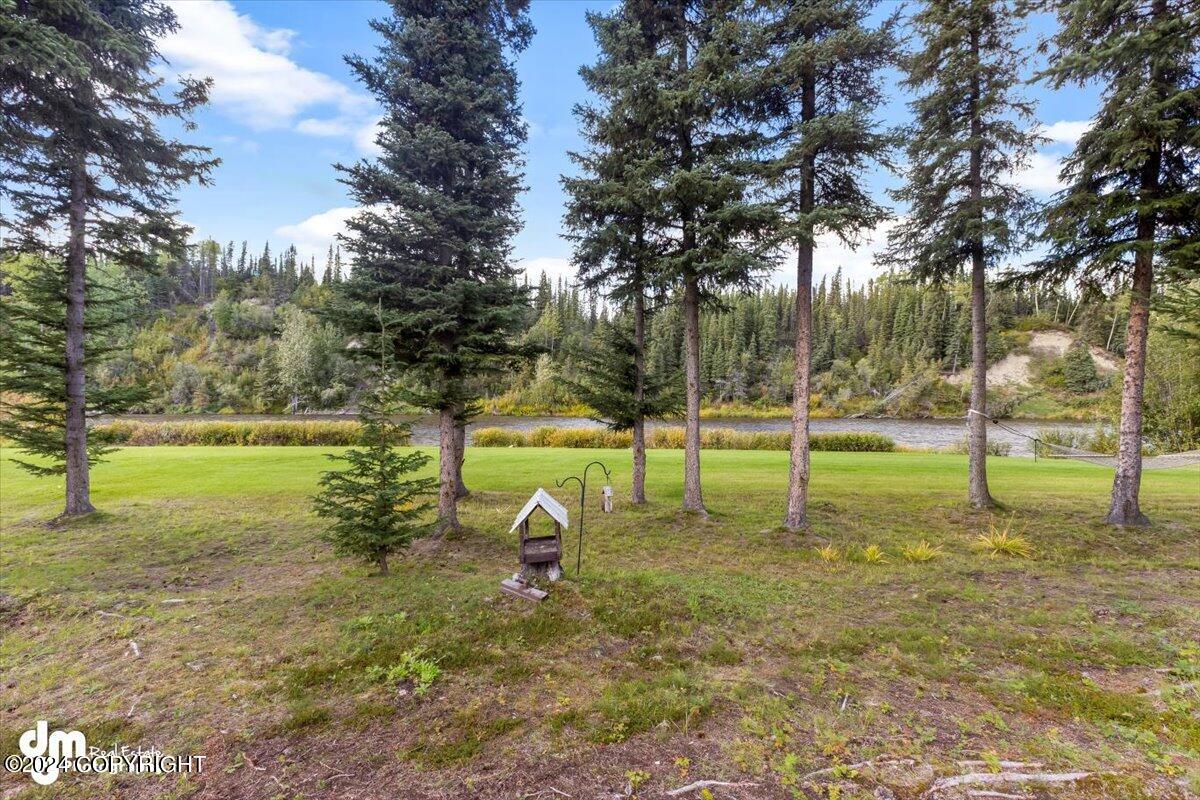 L8/9 Gulkana River Property Photo 47