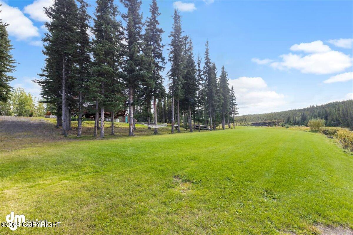L8/9 Gulkana River Property Photo 49