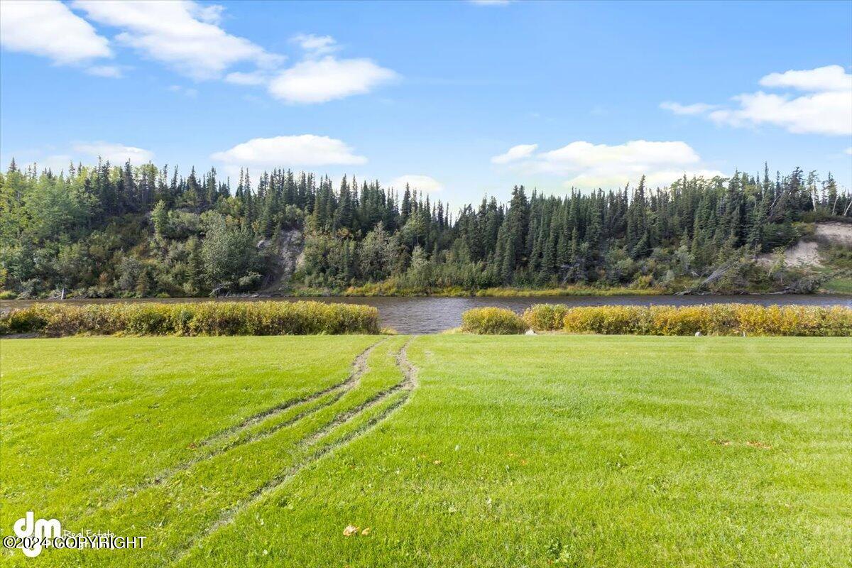 L8/9 Gulkana River Property Photo 50