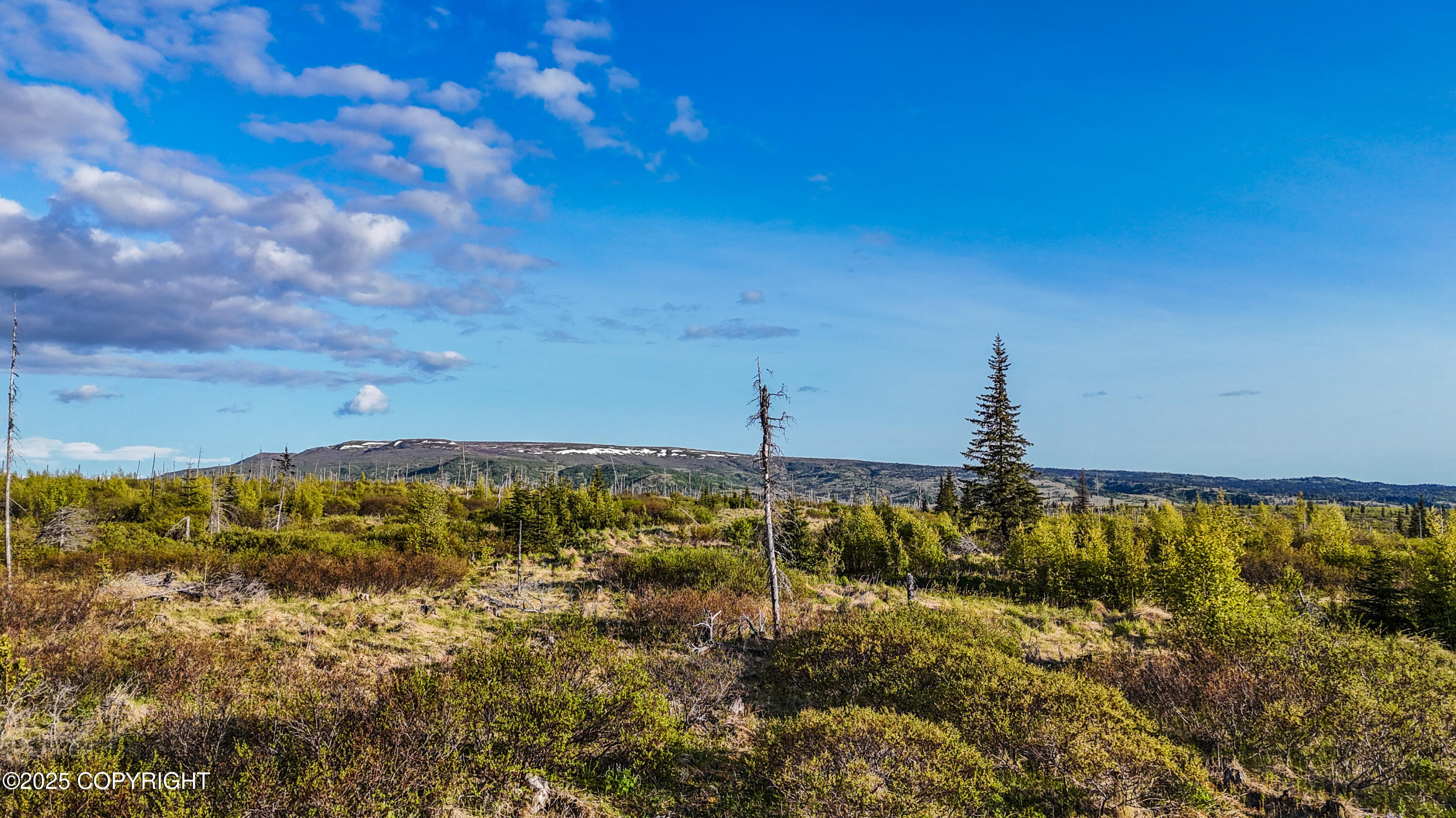 54151 Straight In Trail Property Photo 6