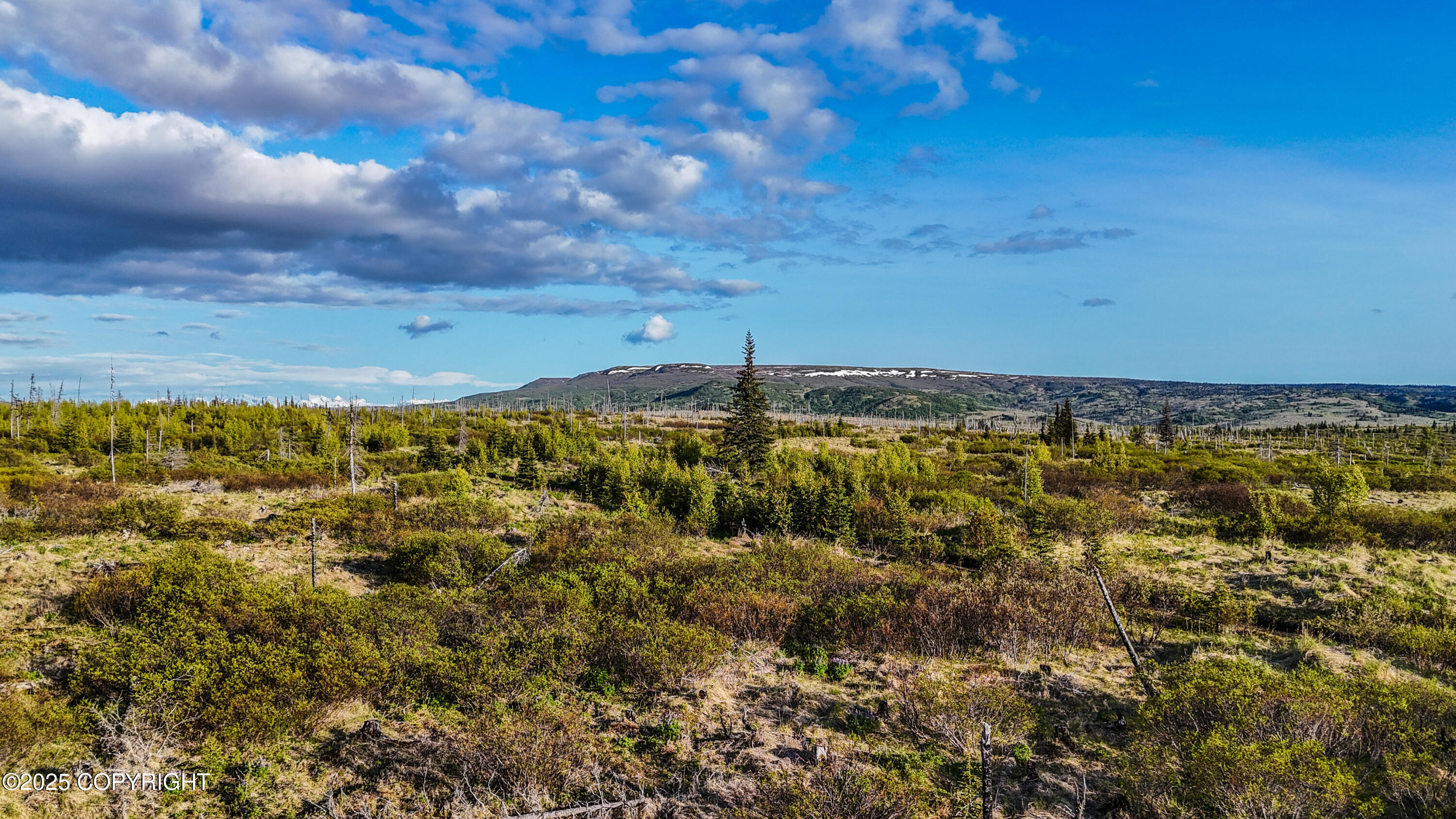 54151 Straight In Trail Property Photo 16