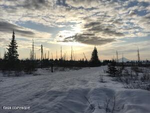 54151 Straight In Trail Property Photo 19