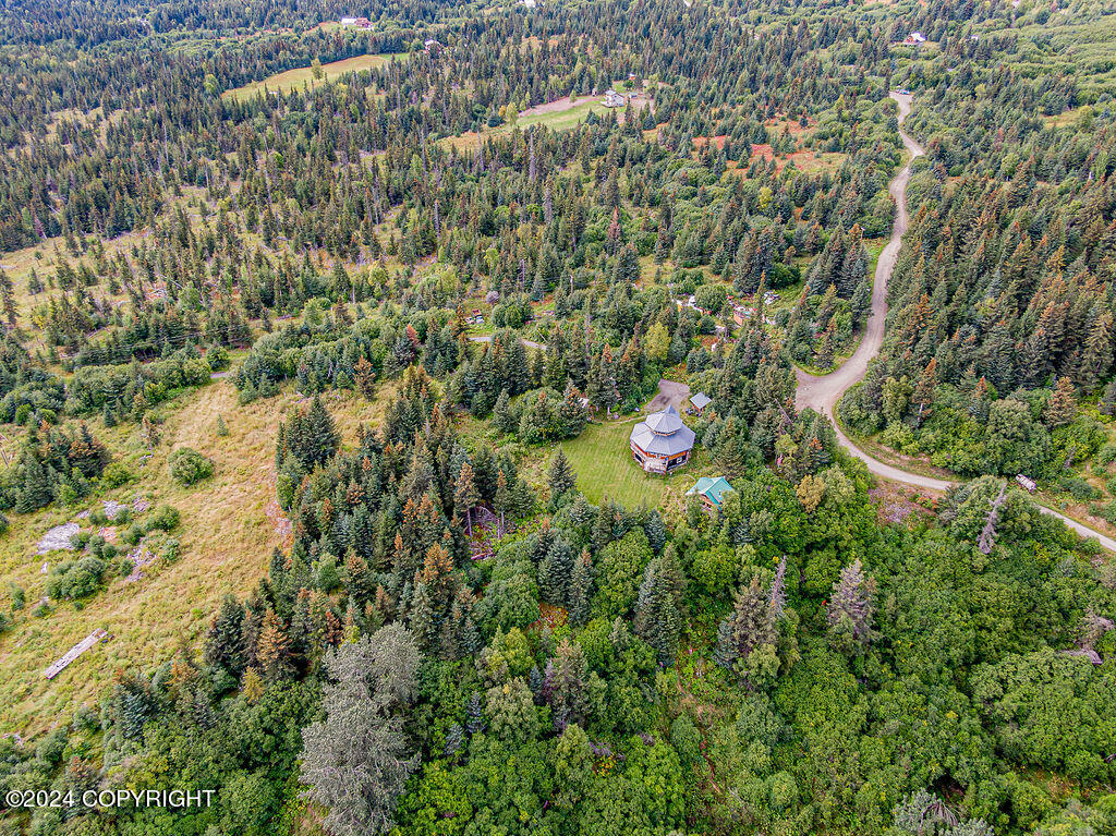 38126 Bobby Rufus Road Property Photo 65