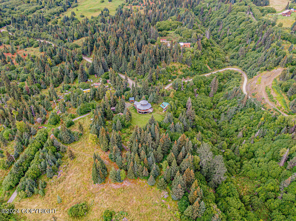 38126 Bobby Rufus Road Property Photo 67