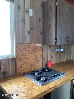 Nhn Shell Lake Property Photo 15