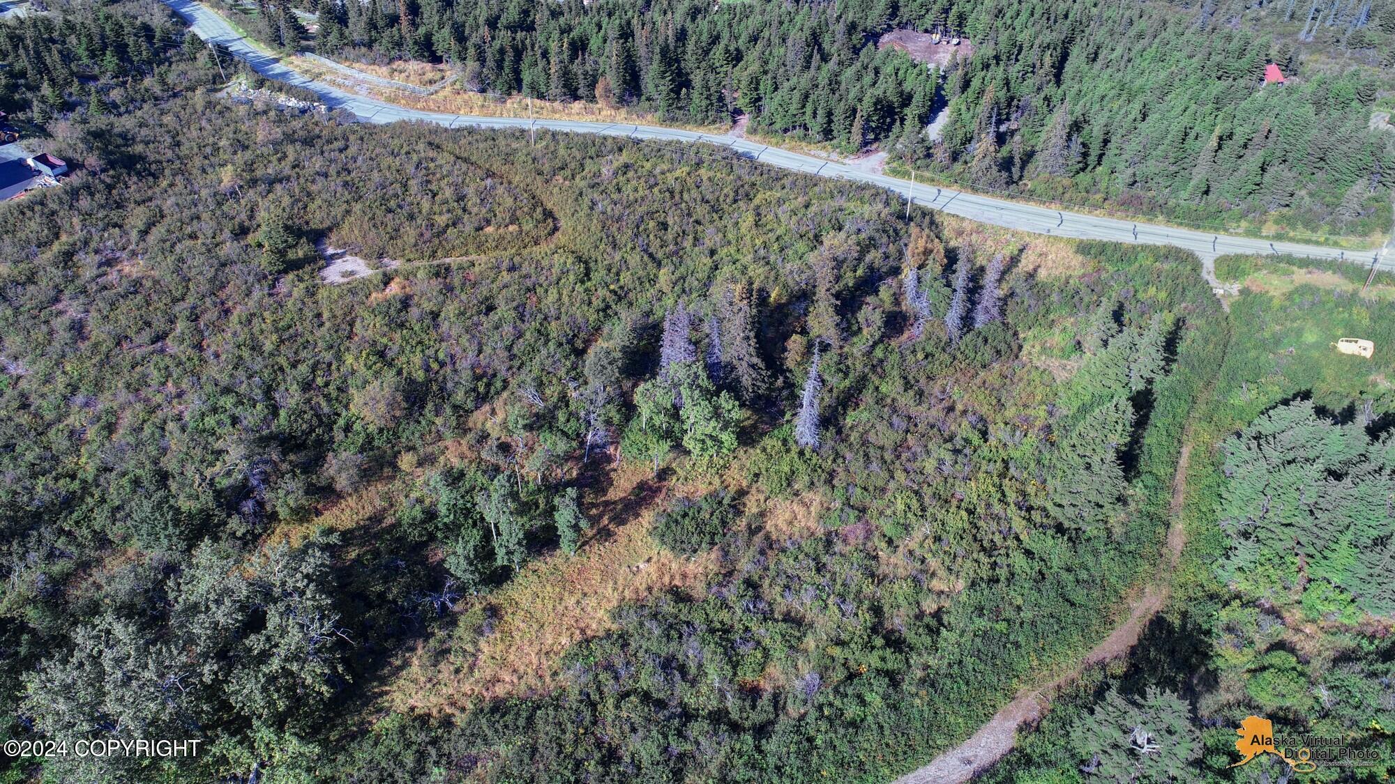 12650 Glen Alps Road Property Photo 2