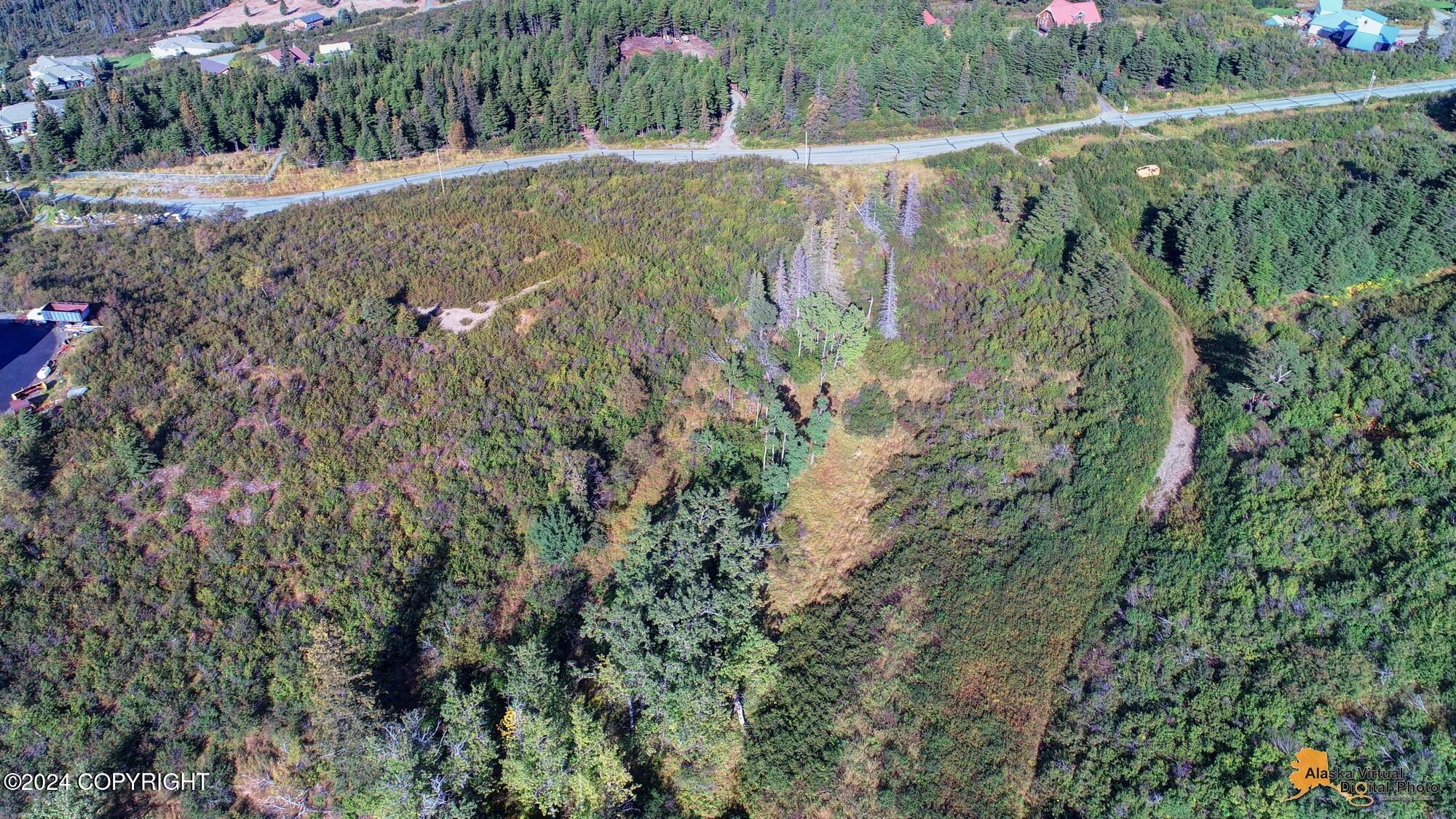12650 Glen Alps Road Property Photo 3
