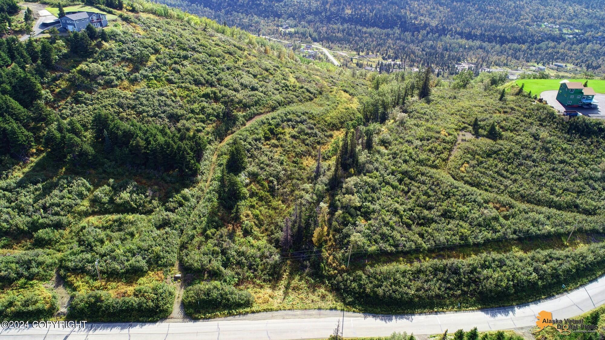 12650 Glen Alps Road Property Photo 11