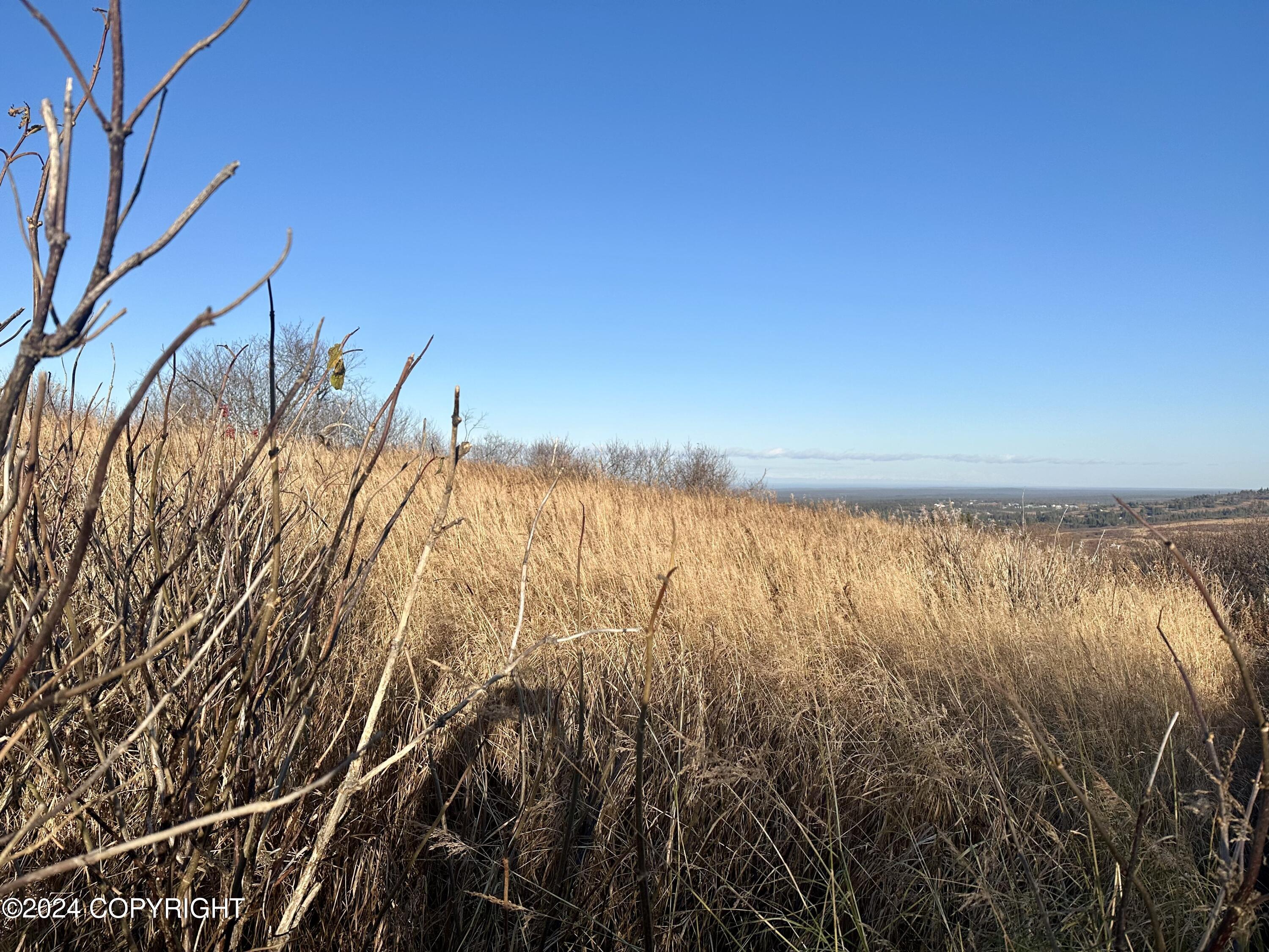 34113 Bluegrass Street Property Photo 7