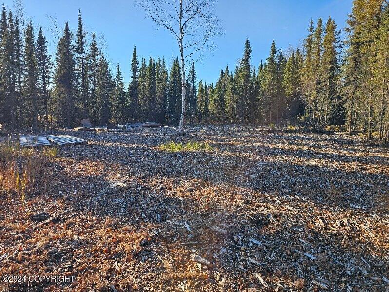 L3 Erlwein Circle Property Photo 6