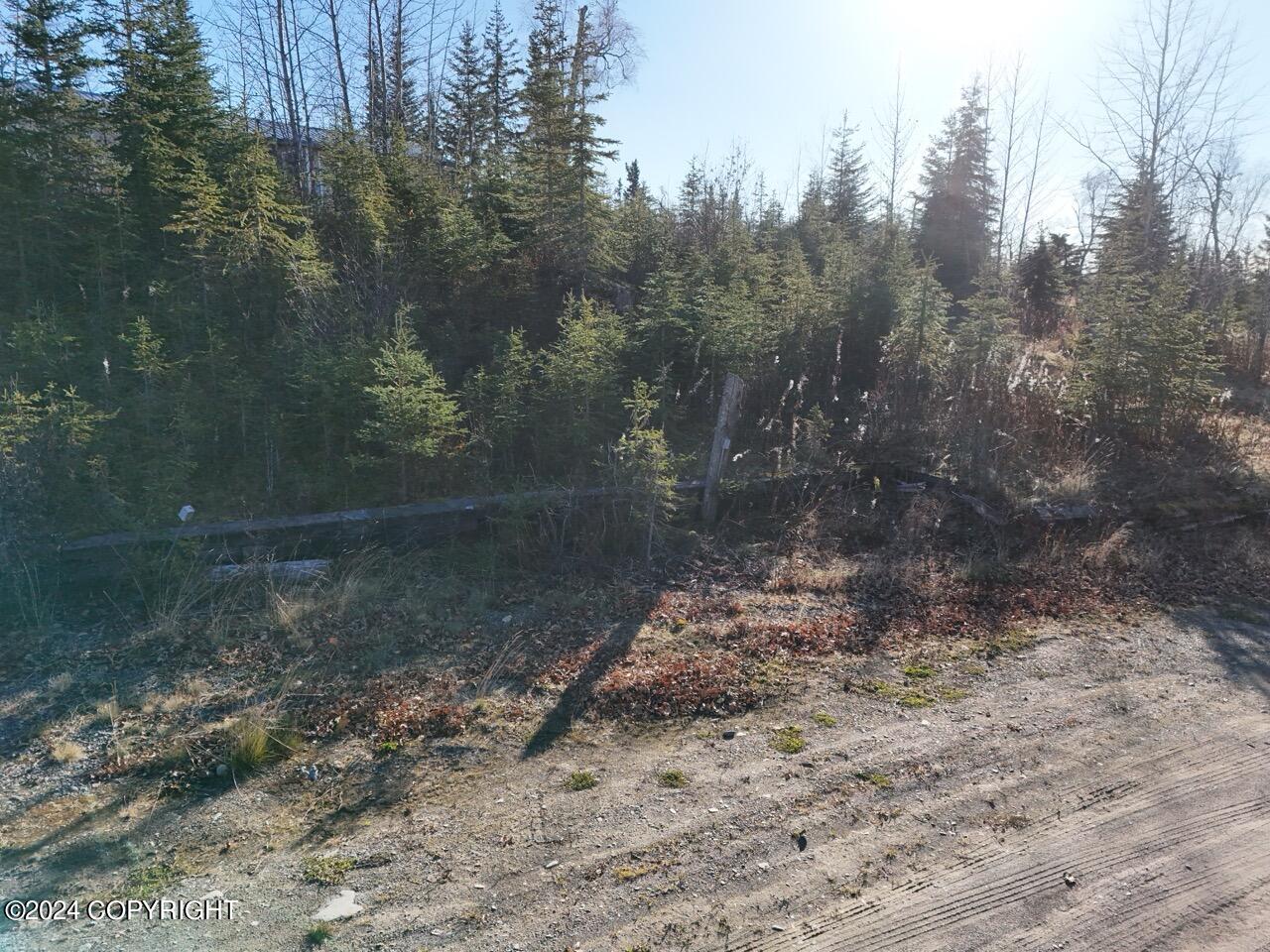 65449 Lingonberry Road Property Photo 52