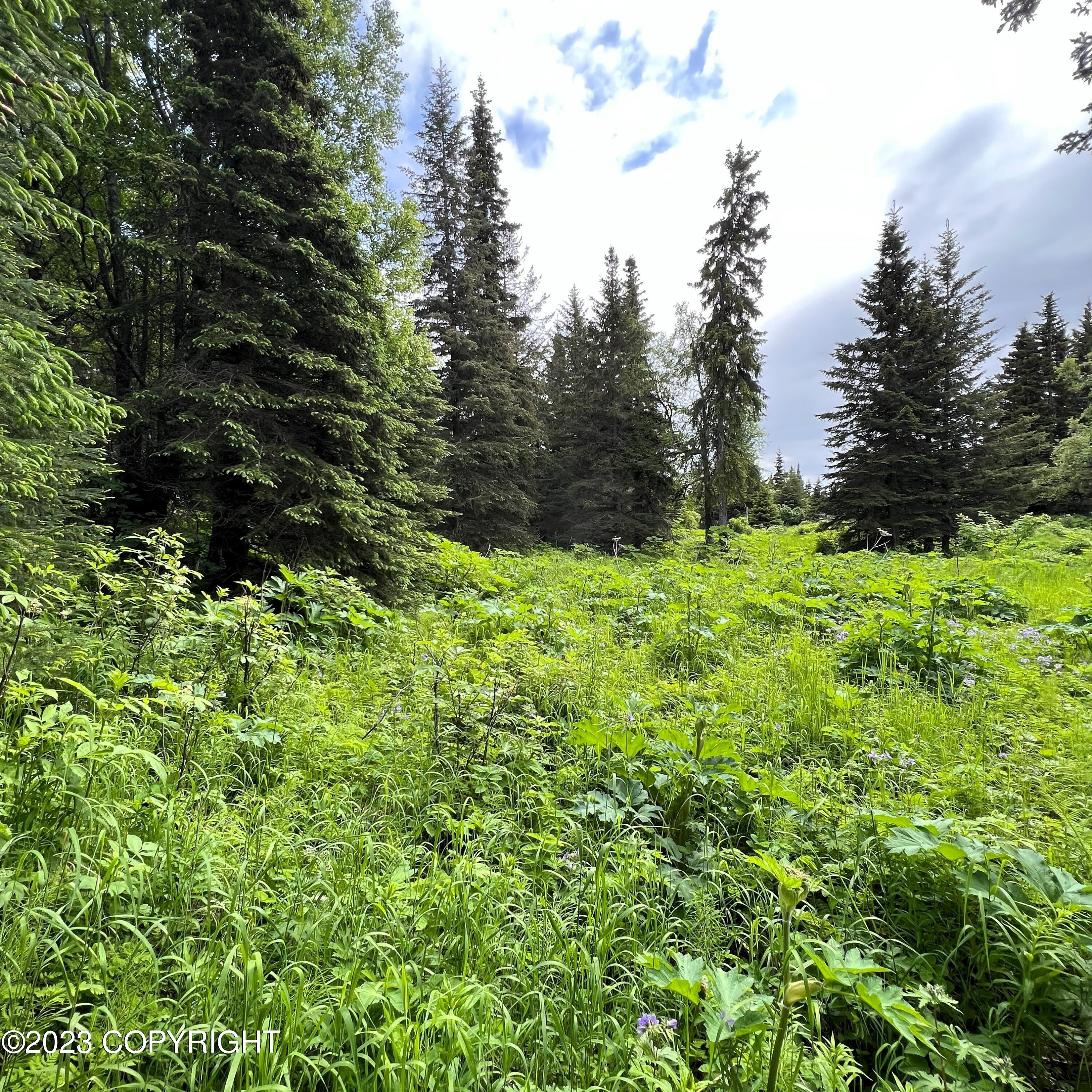17515 Arcturus Loop Property Photo 7