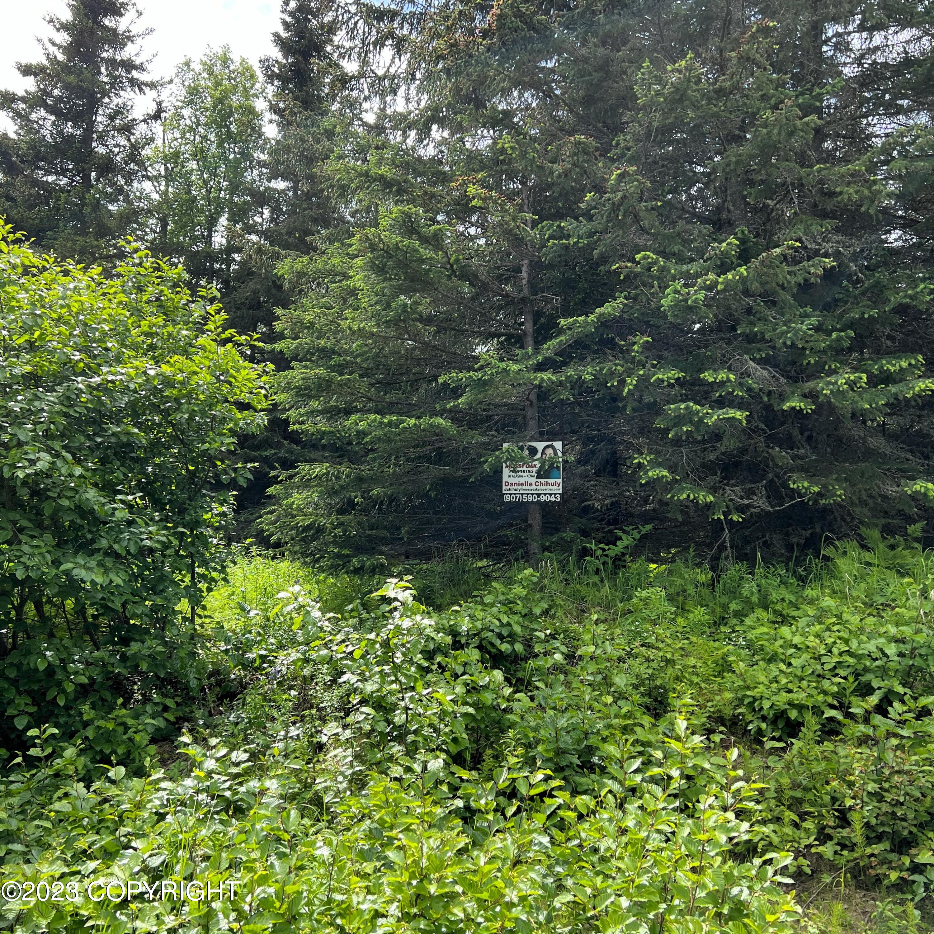 17515 Arcturus Loop Property Photo 8