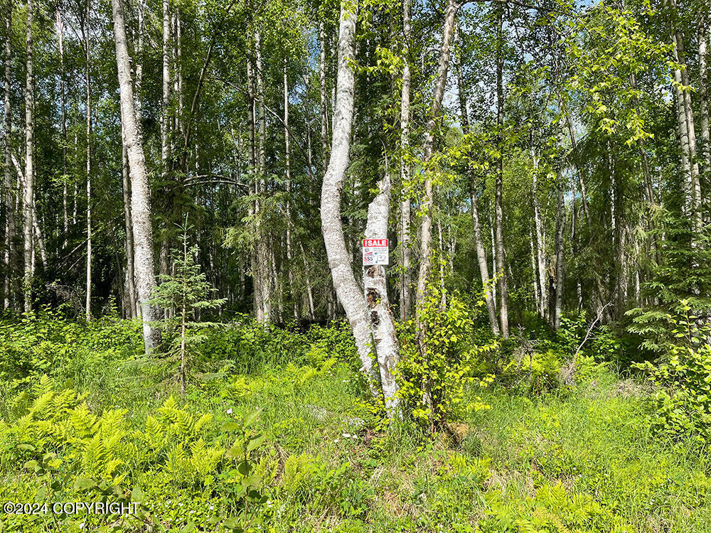 48484 S Grizzly Bear Circle Property Photo 1