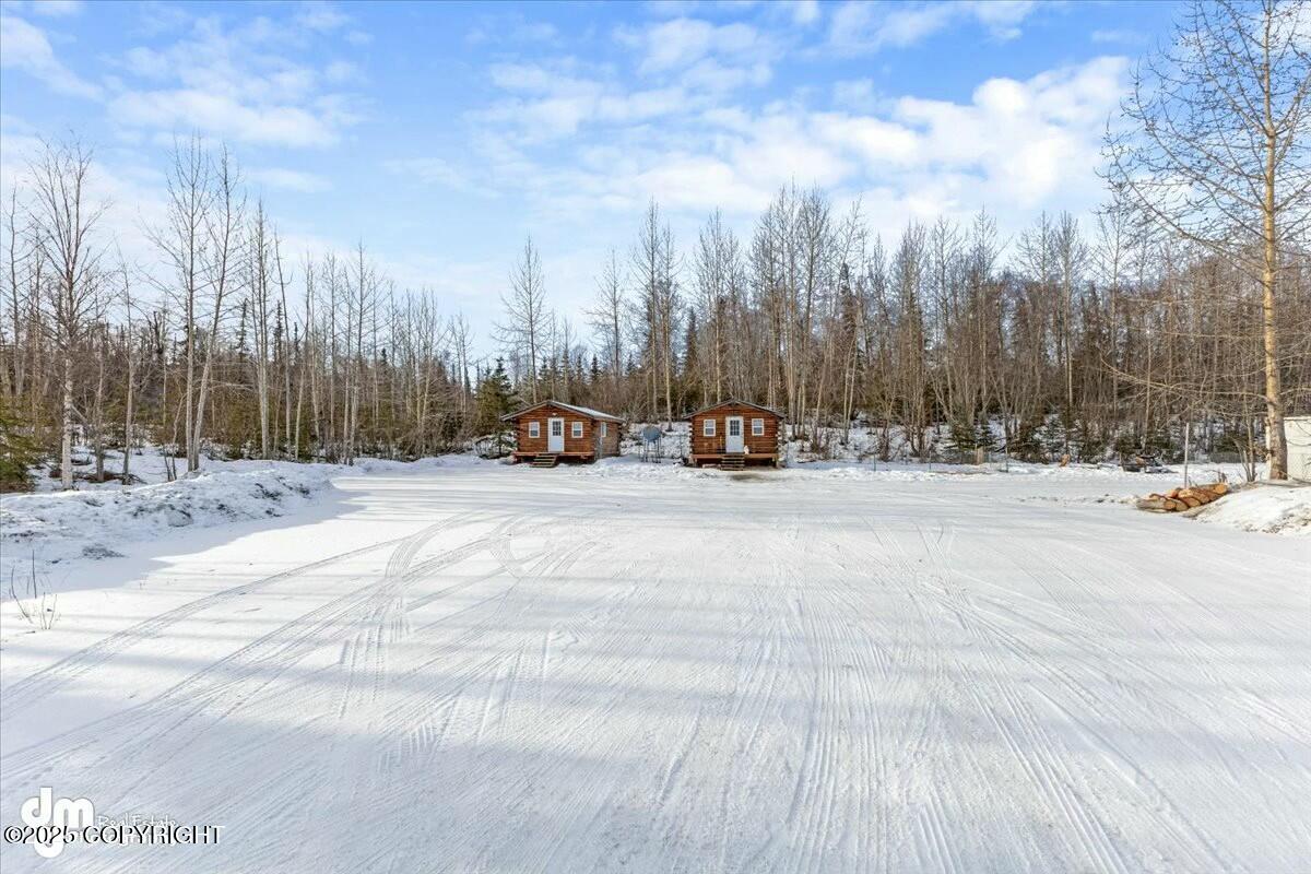 22481 W Point Mackenzie Road Property Photo 44