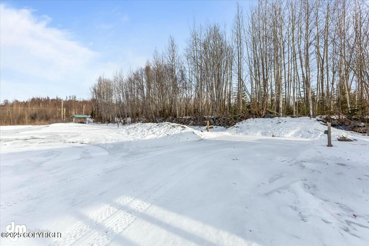 22481 W Point Mackenzie Road Property Photo 52
