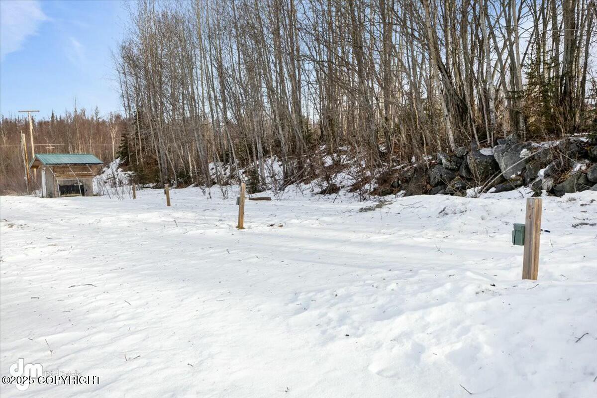 22481 W Point Mackenzie Road Property Photo 53