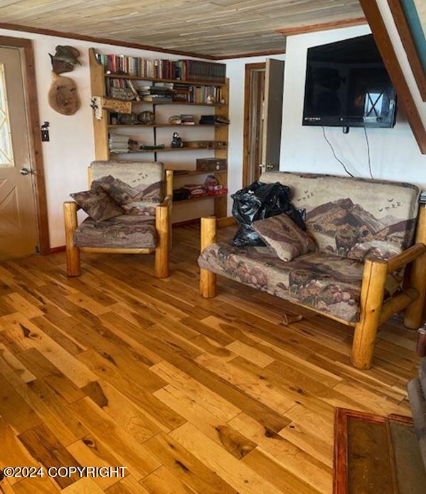 100 Holitna River Property Photo 10