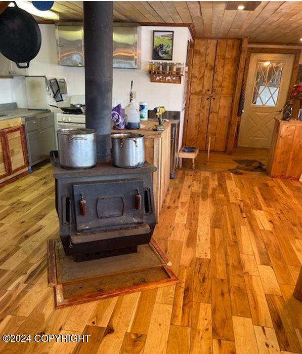 100 Holitna River Property Photo 11