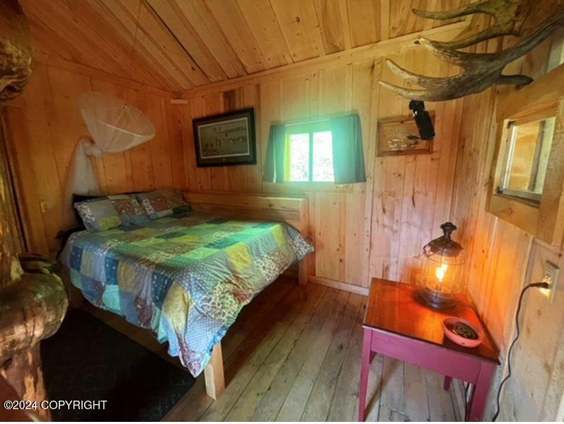 100 Holitna River Property Photo 22