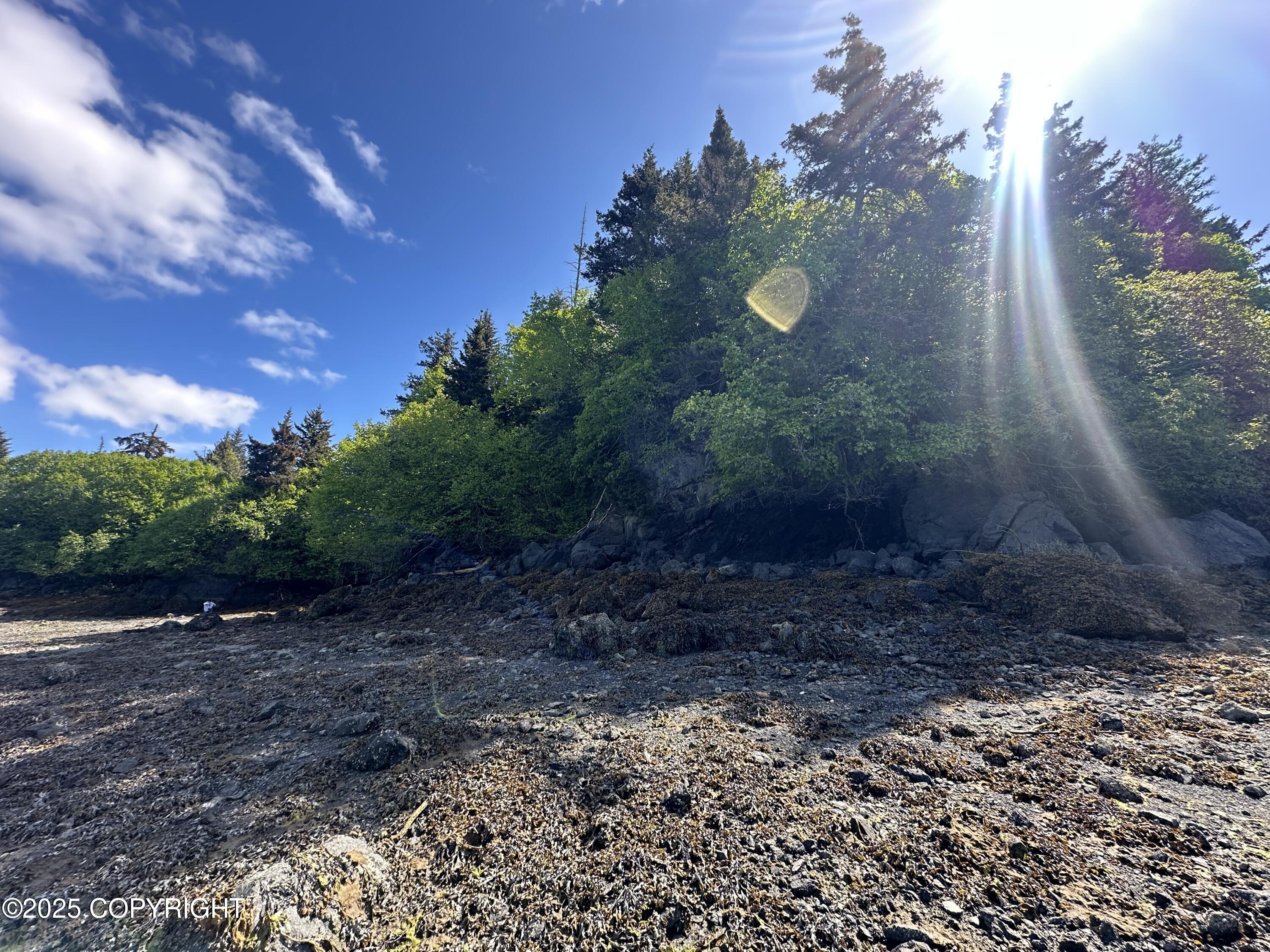 L5a Halibut Cove Property Photo 3